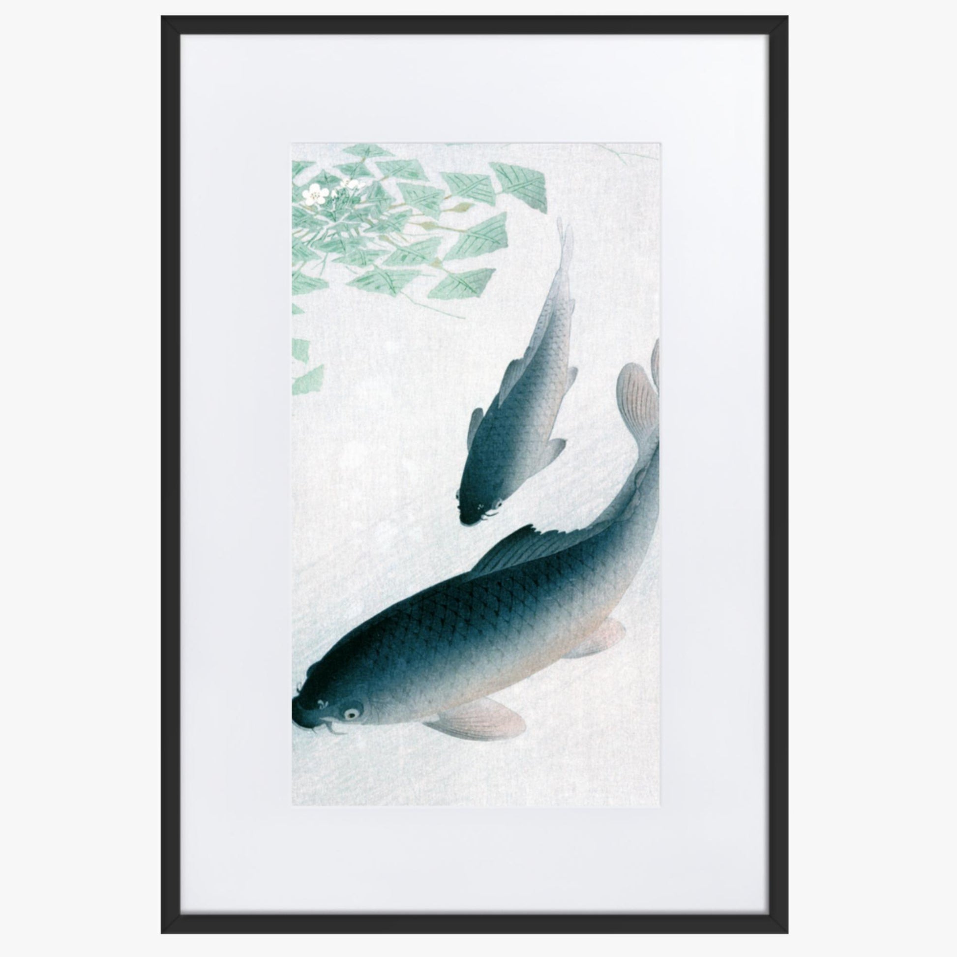 Ohara Koson - Carp or Koi 61x91 cm Poster With Black Frame