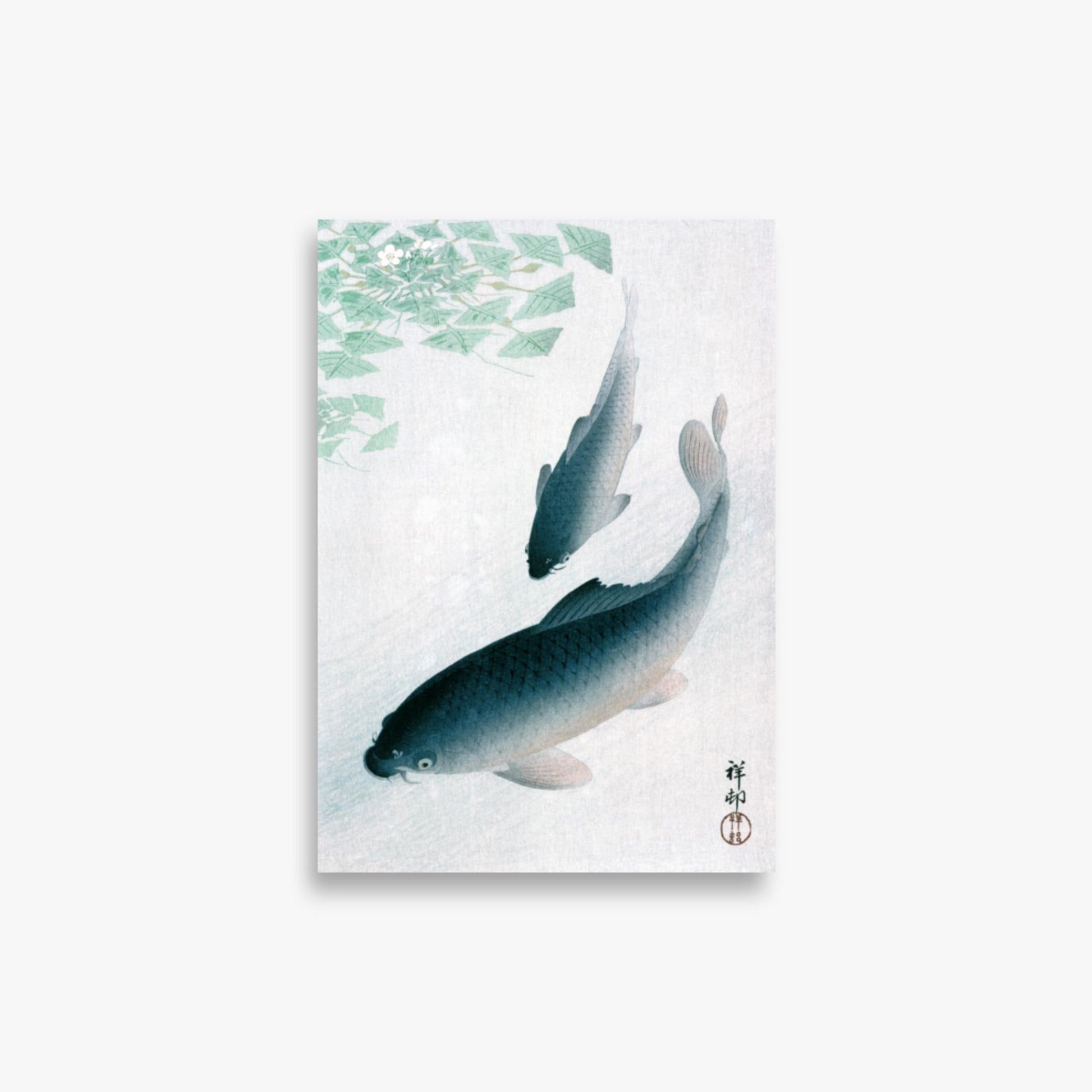 Ohara Koson - Carp or Koi 21x30 cm Poster