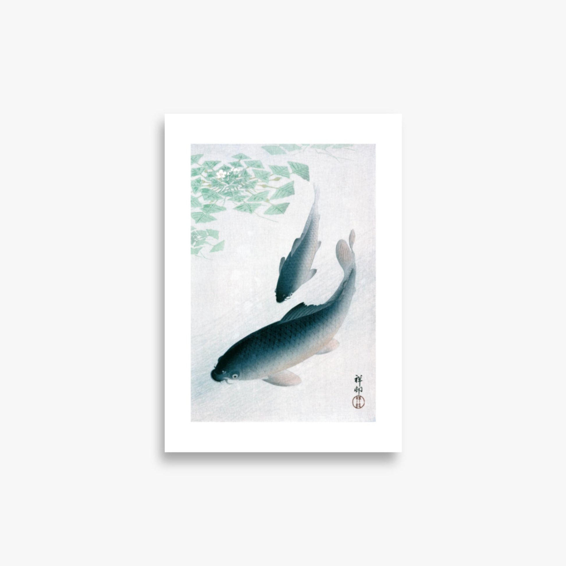 Ohara Koson - Carp or Koi 21x30 cm Poster