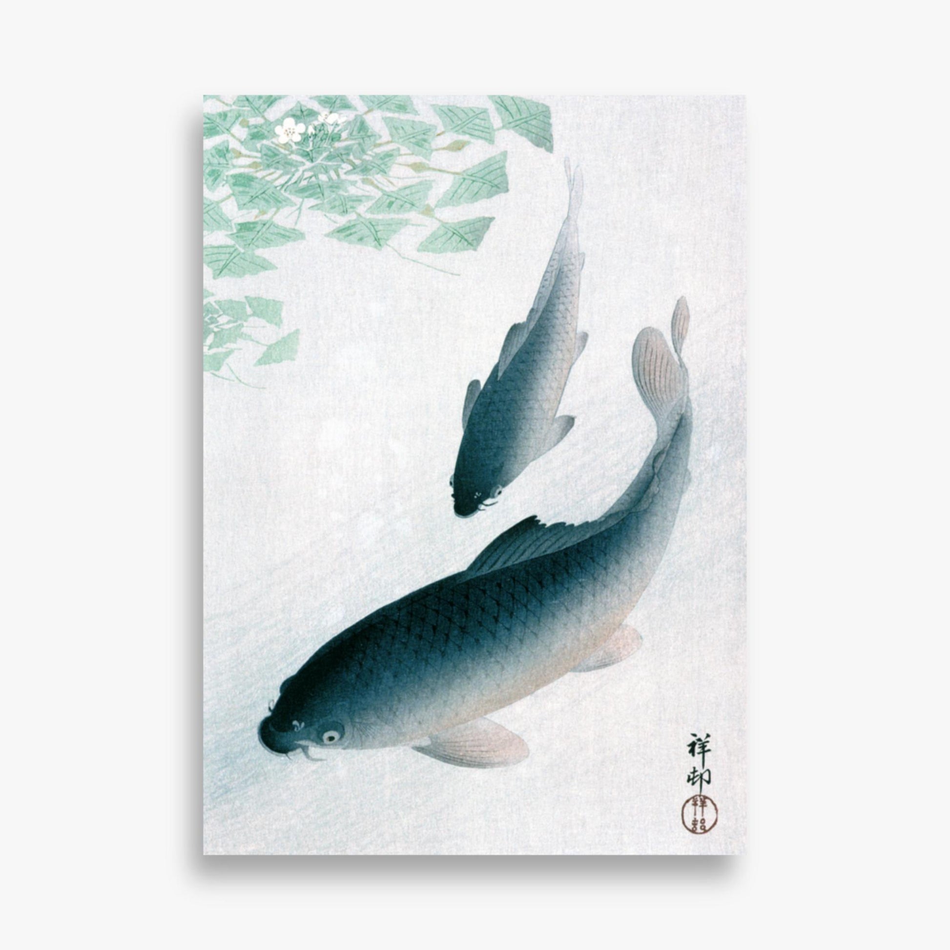 Ohara Koson - Carp or Koi 50x70 cm Poster