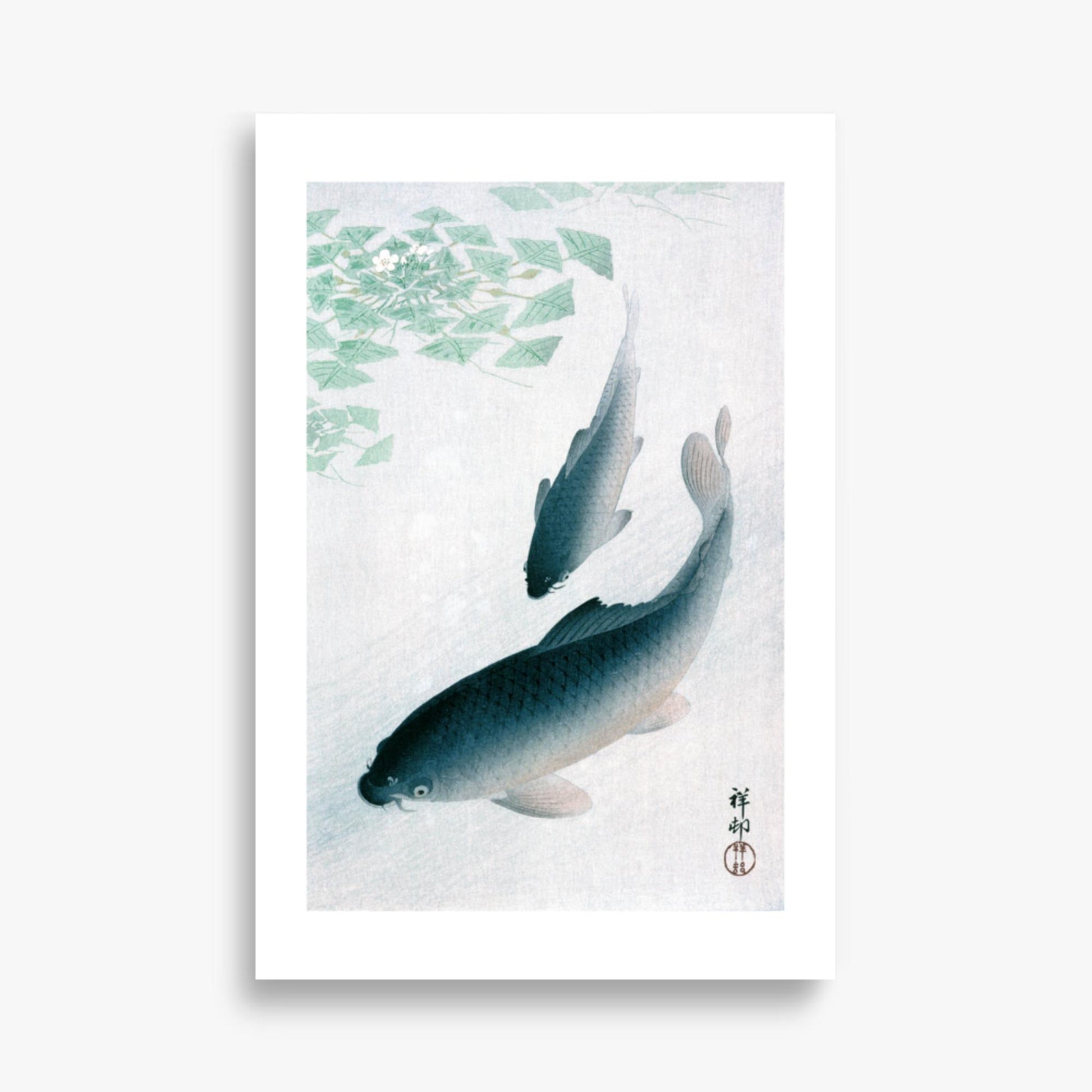 Ohara Koson - Carp or Koi 61x91 cm Poster