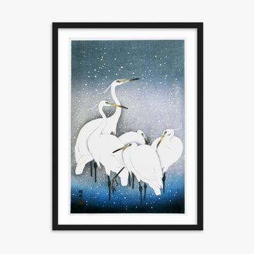 Ohara Koson - Egrets in the Snow 50x70 cm Poster With Black Frame