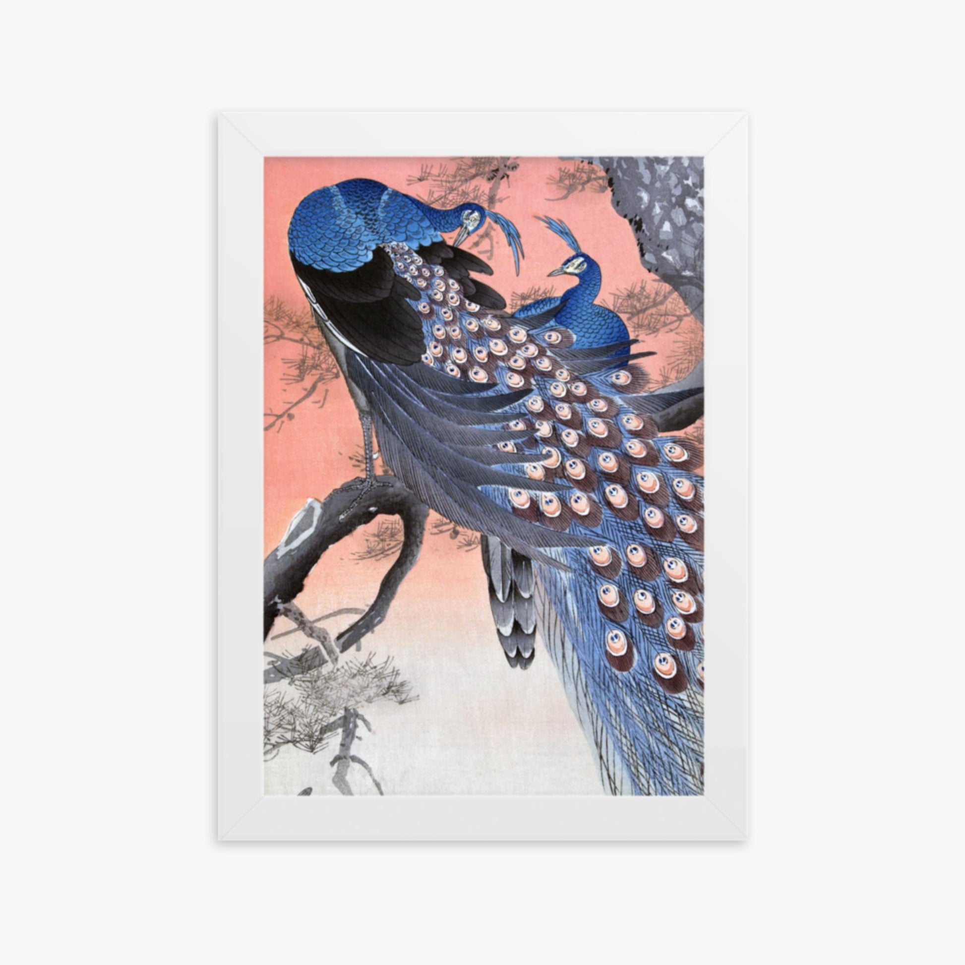 Ohara Koson - Two Peacocks on Tree Branch 21x30 cm Poster With White Frame