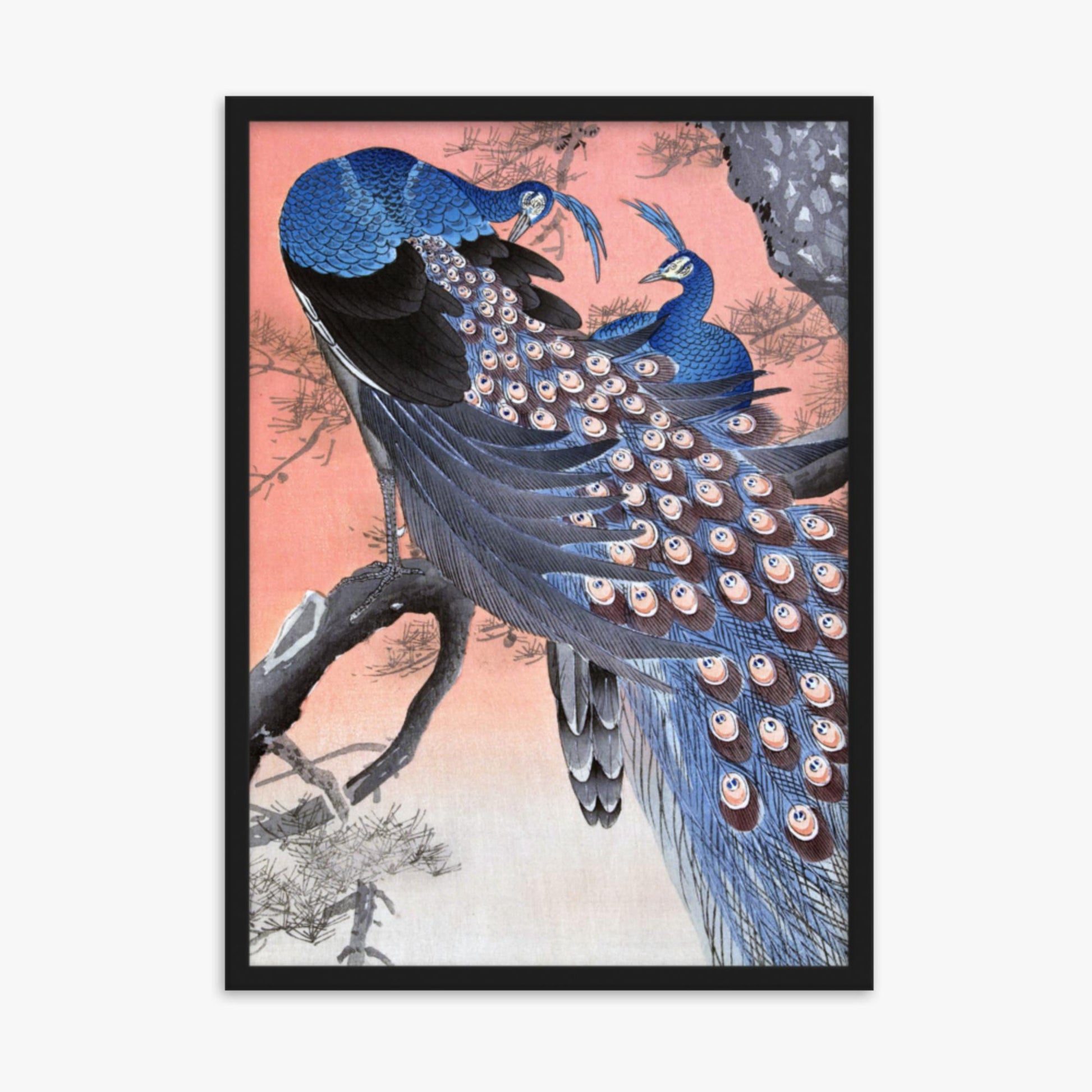 Ohara Koson - Two Peacocks on Tree Branch 50x70 cm Poster With Black Frame