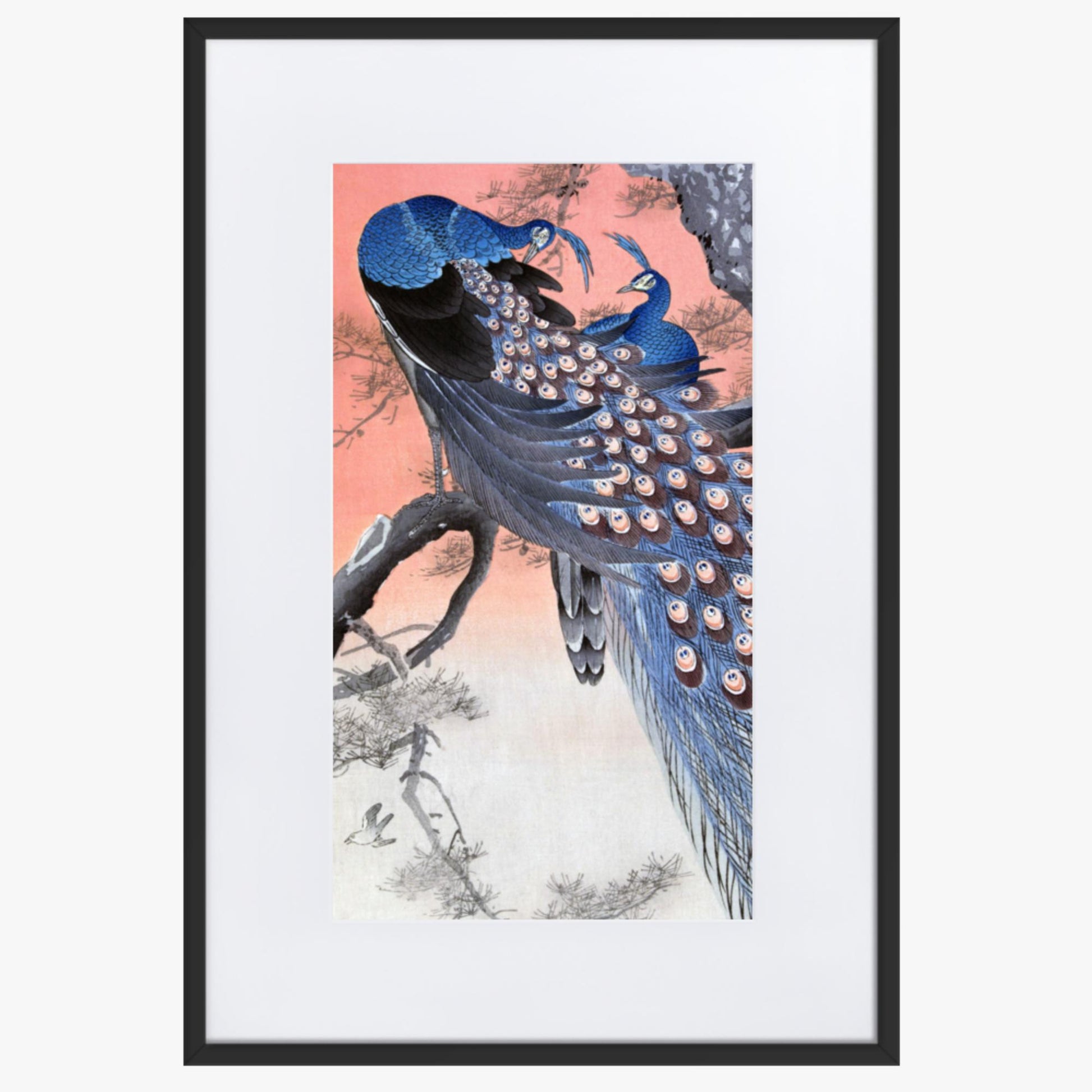 Ohara Koson - Two Peacocks on Tree Branch 61x91 cm Poster With Black Frame