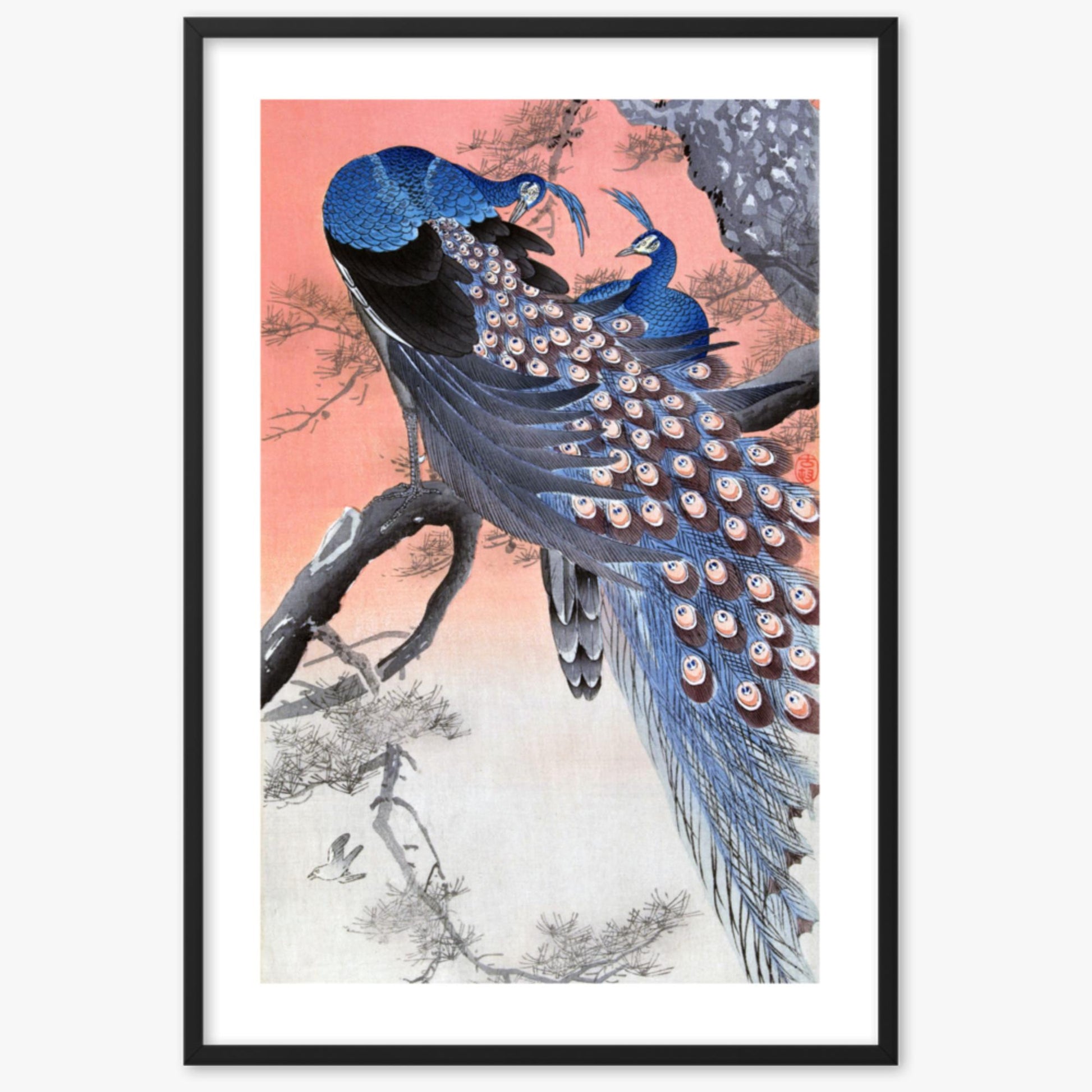 Ohara Koson - Two Peacocks on Tree Branch 61x91 cm Poster With Black Frame