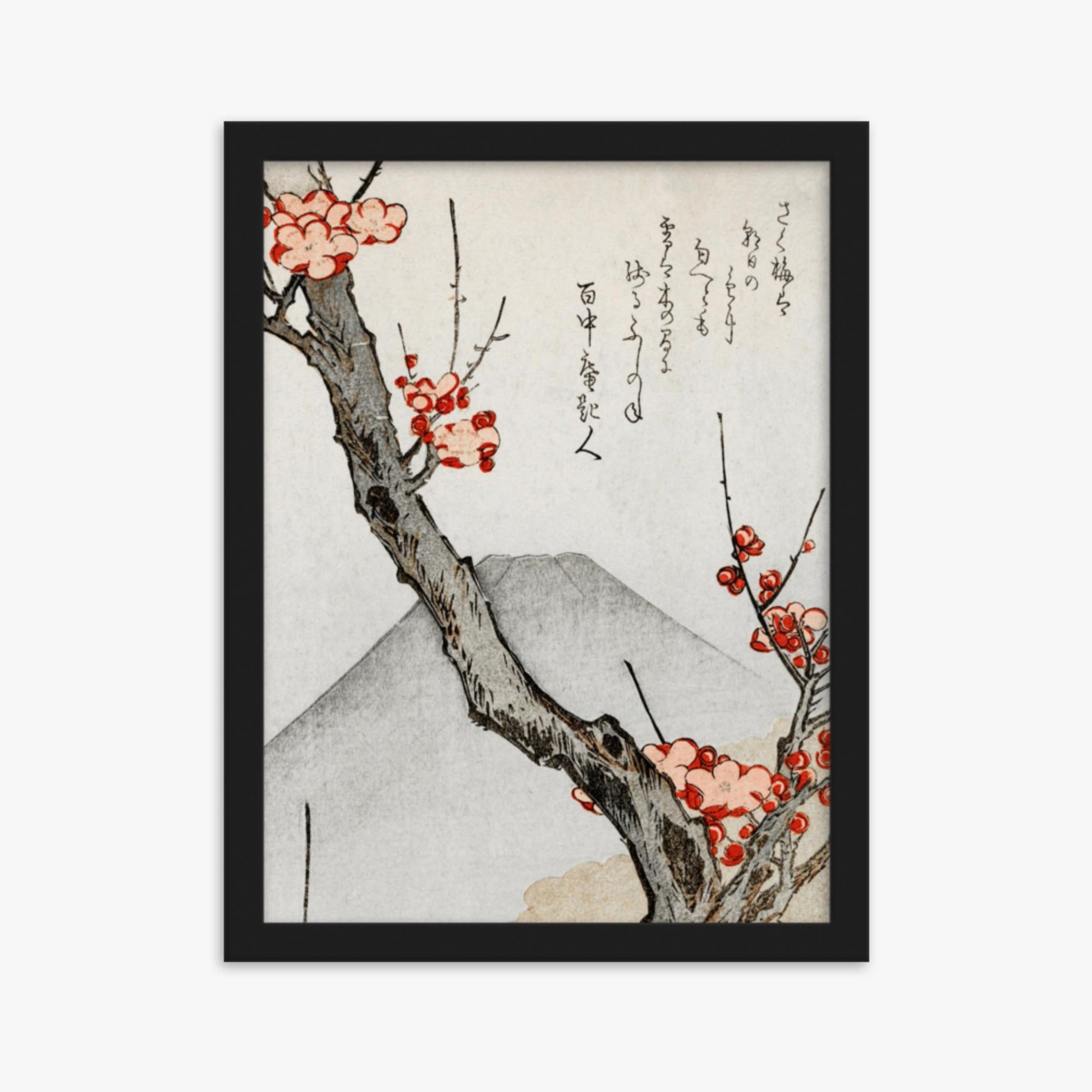 Teisai Hokuba - Mount Fuji and a Flowering Plum 30x40 cm Poster With Black Frame