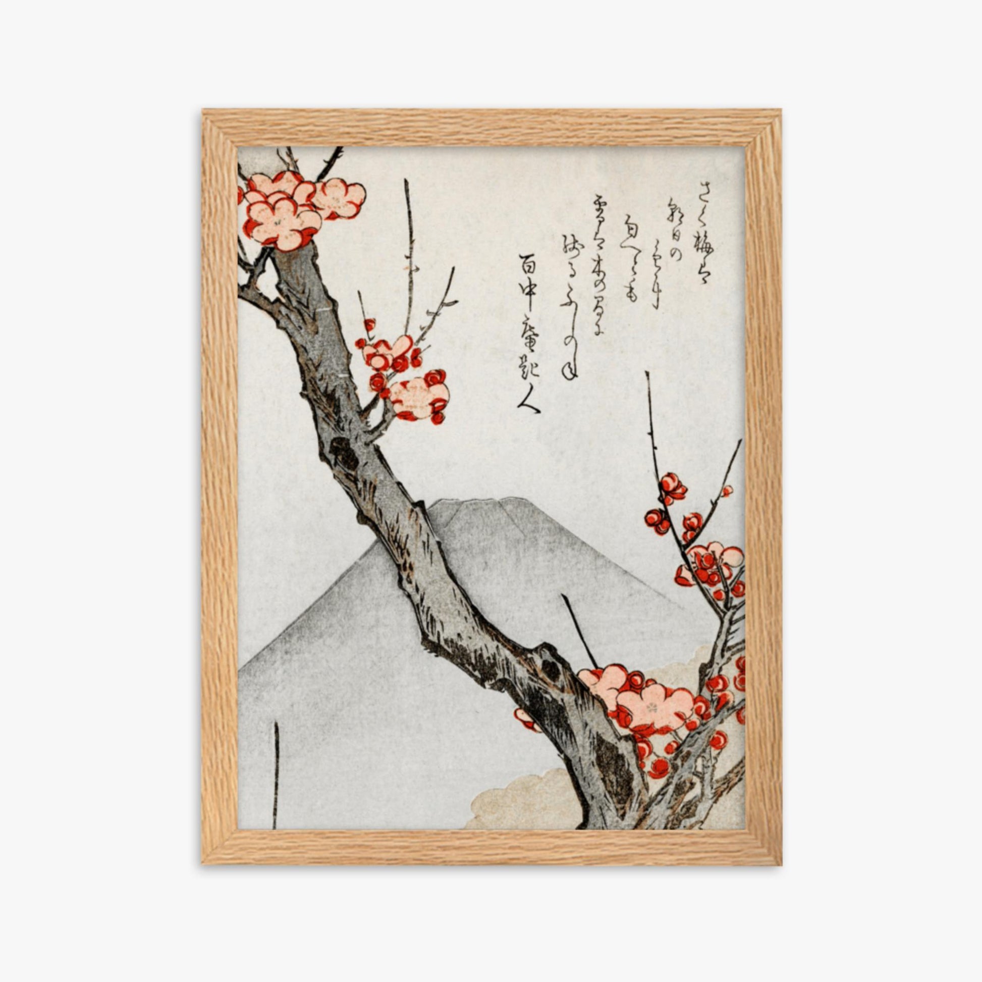 Teisai Hokuba - Mount Fuji and a Flowering Plum 30x40 cm Poster With Oak Frame