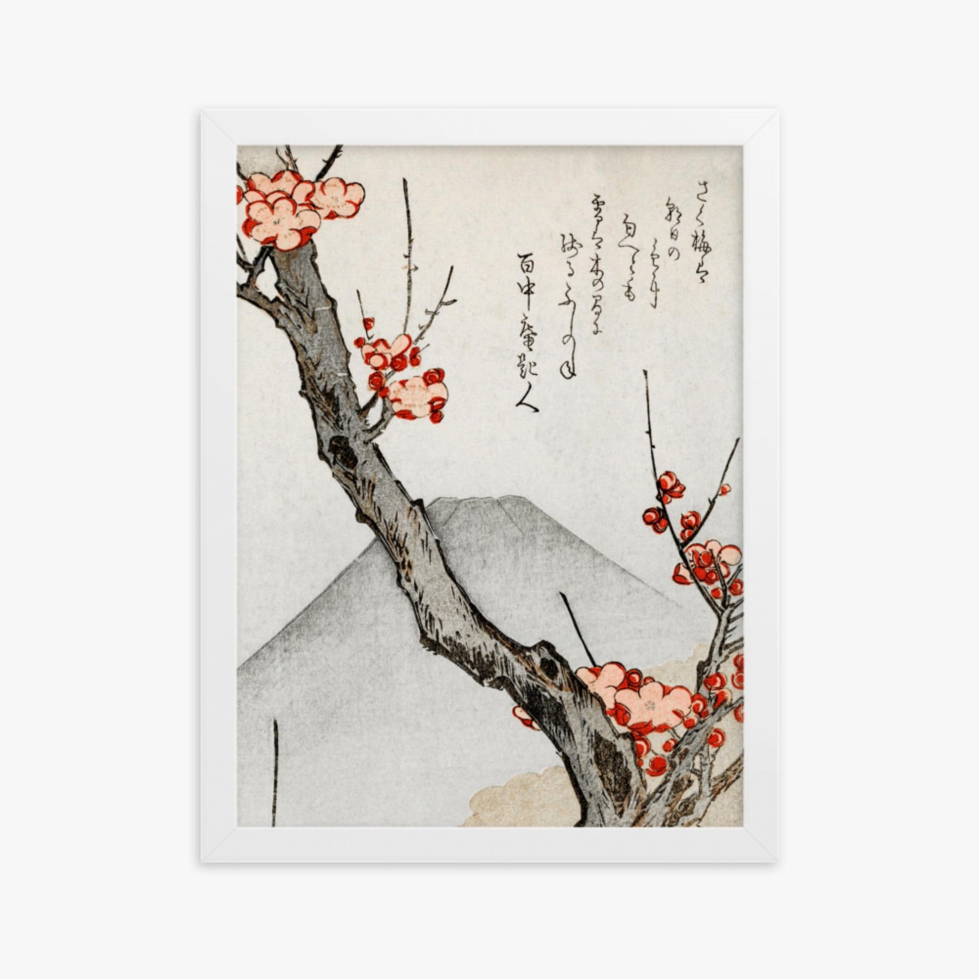 Teisai Hokuba - Mount Fuji and a Flowering Plum 30x40 cm Poster With White Frame