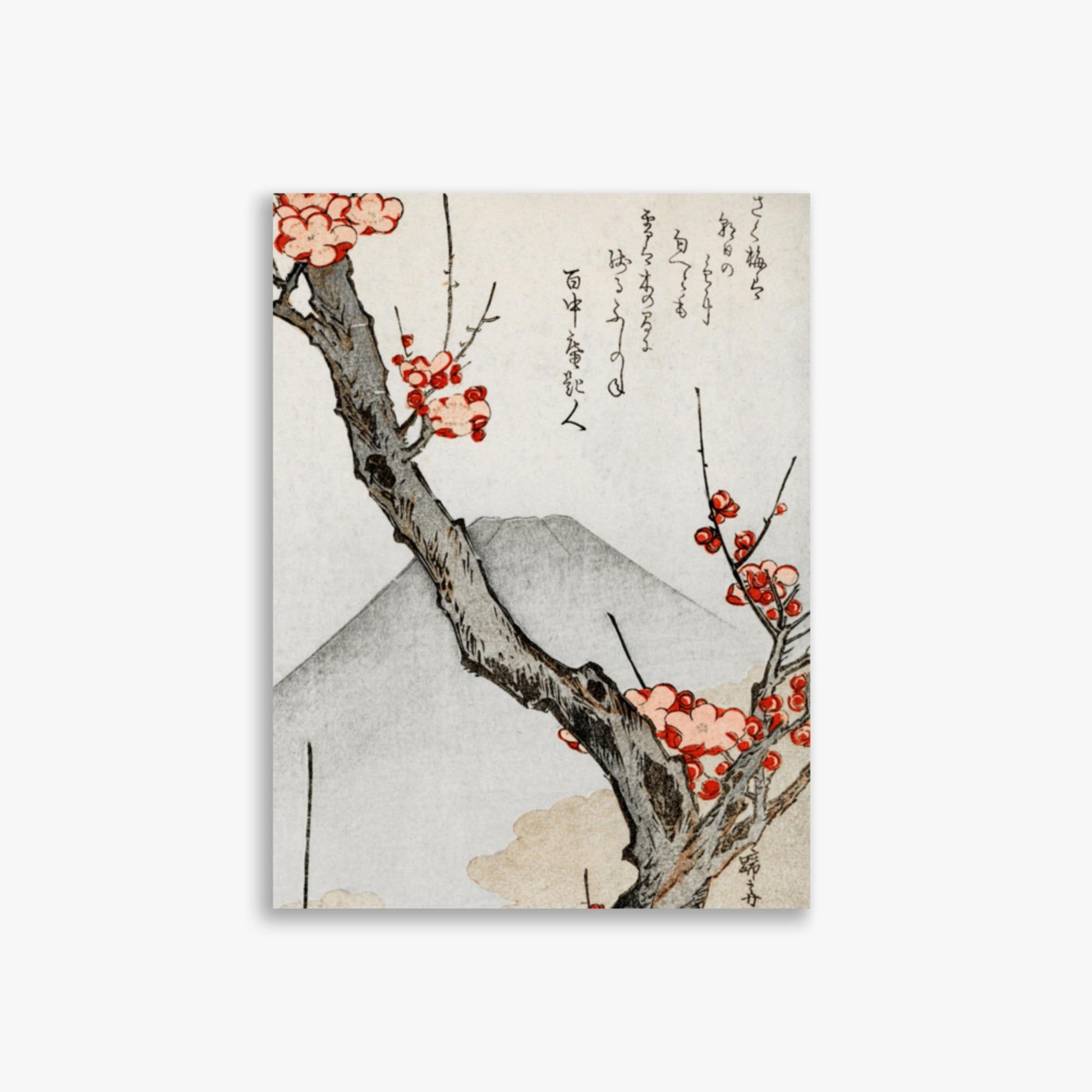 Teisai Hokuba - Mount Fuji and a Flowering Plum 30x40 cm Poster