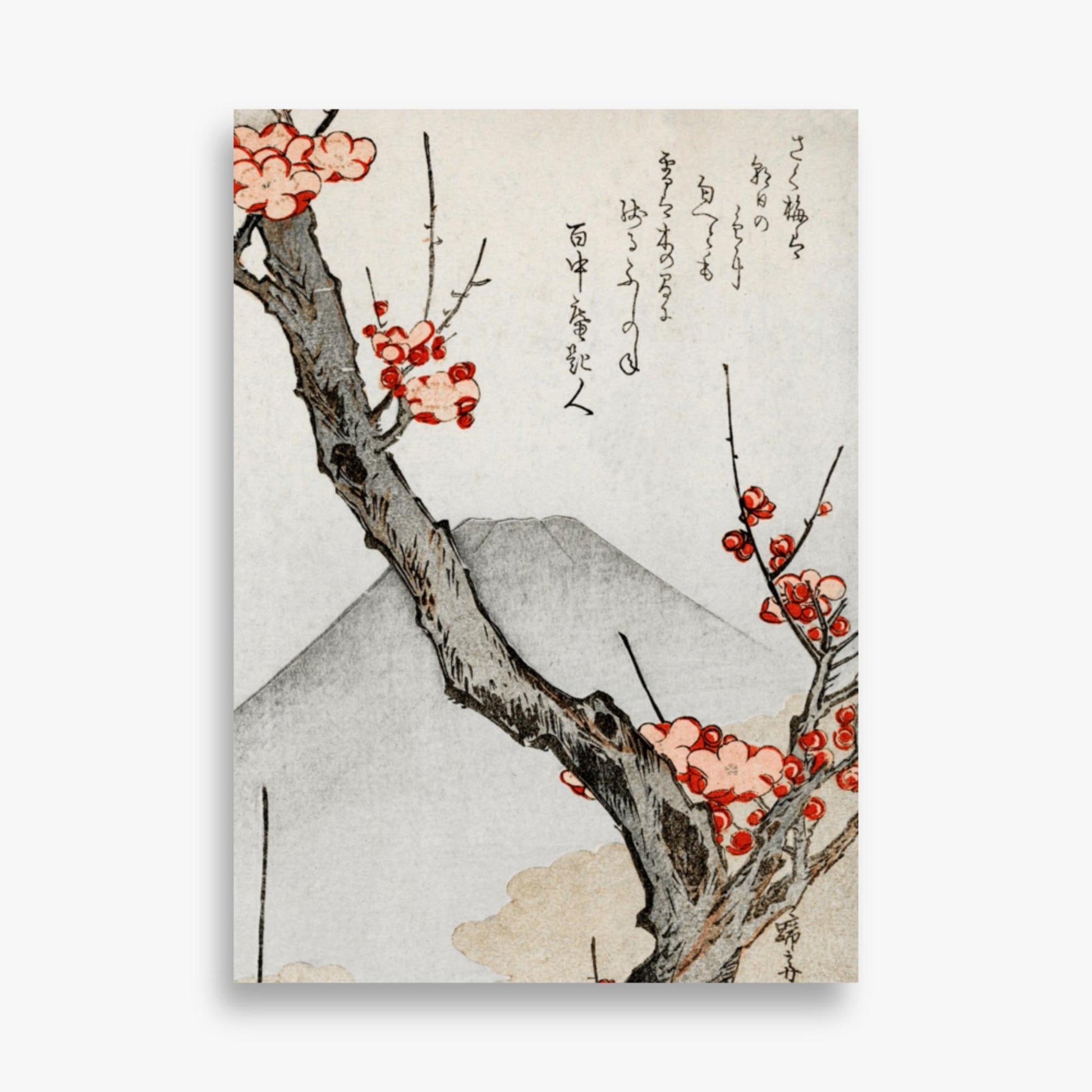 Teisai Hokuba - Mount Fuji and a Flowering Plum 50x70 cm Poster