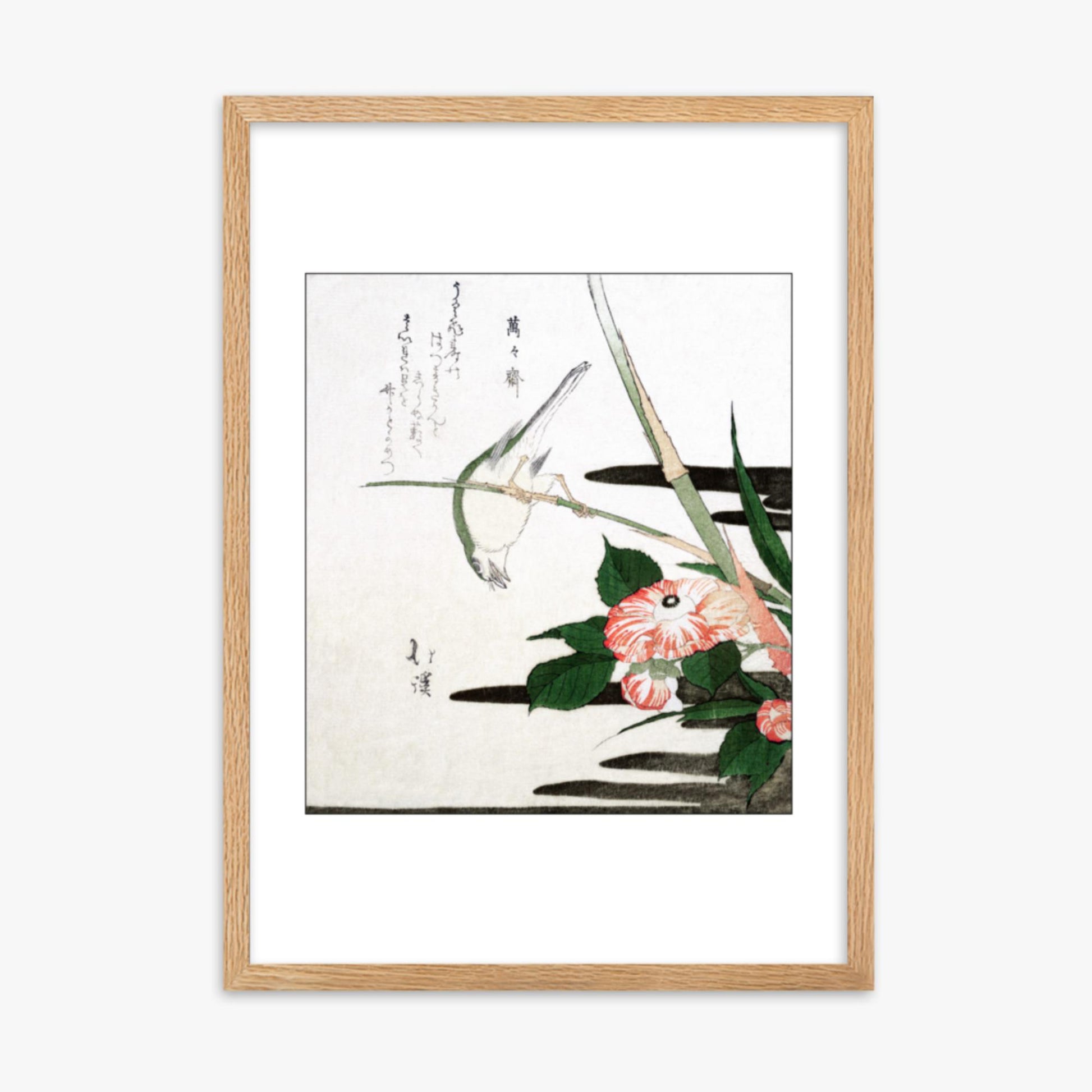 Totoya Hokkei - Warbler and Camellia 50x70 cm Poster With Oak Frame