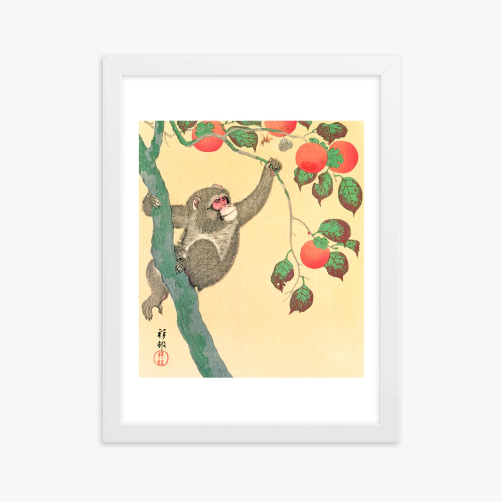 Ohara Koson: Monkey in a Persimmon - 30x40 cm Poster With White Frame