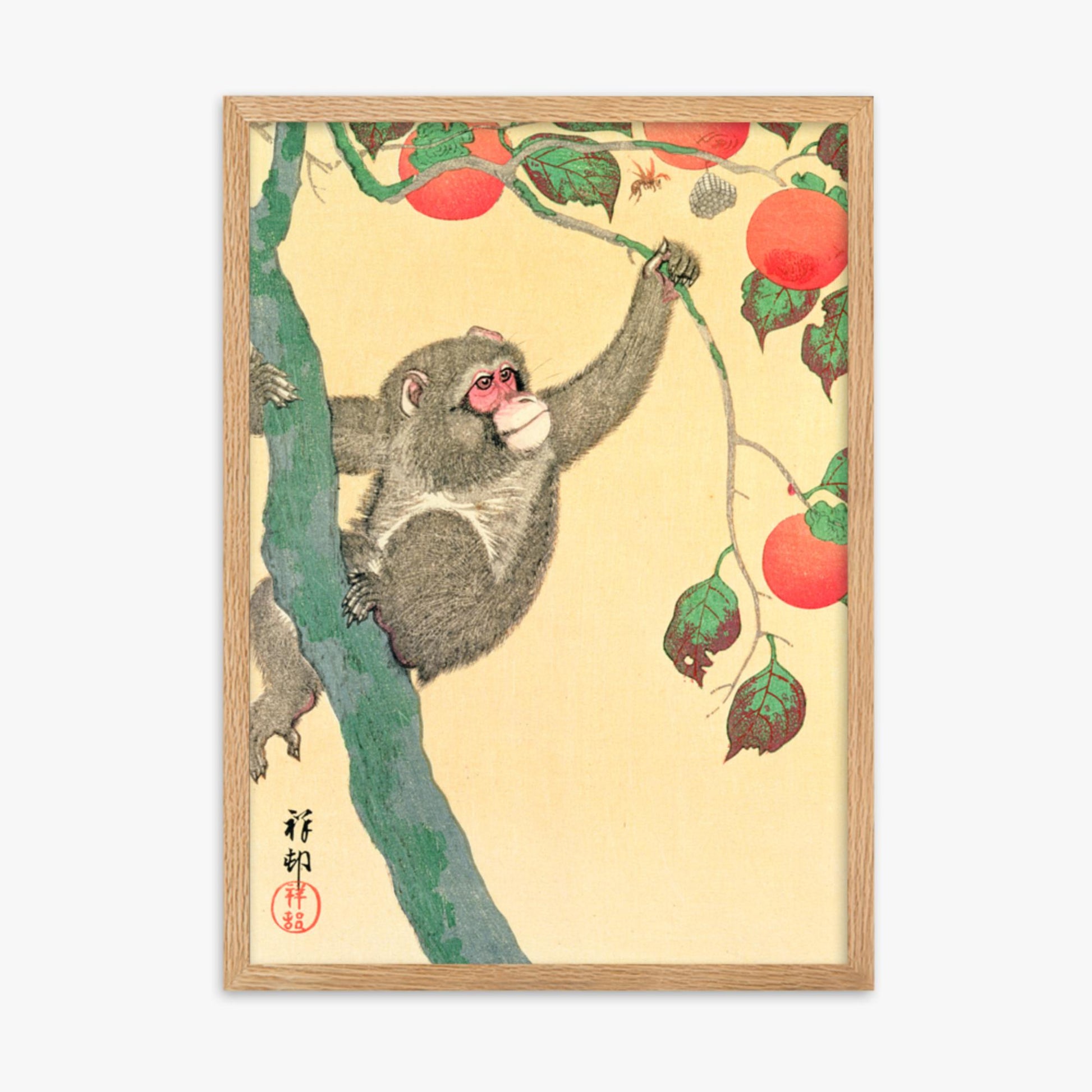 Ohara Koson: Monkey in a Persimmon - 50x70 cm Poster With Oak Frame