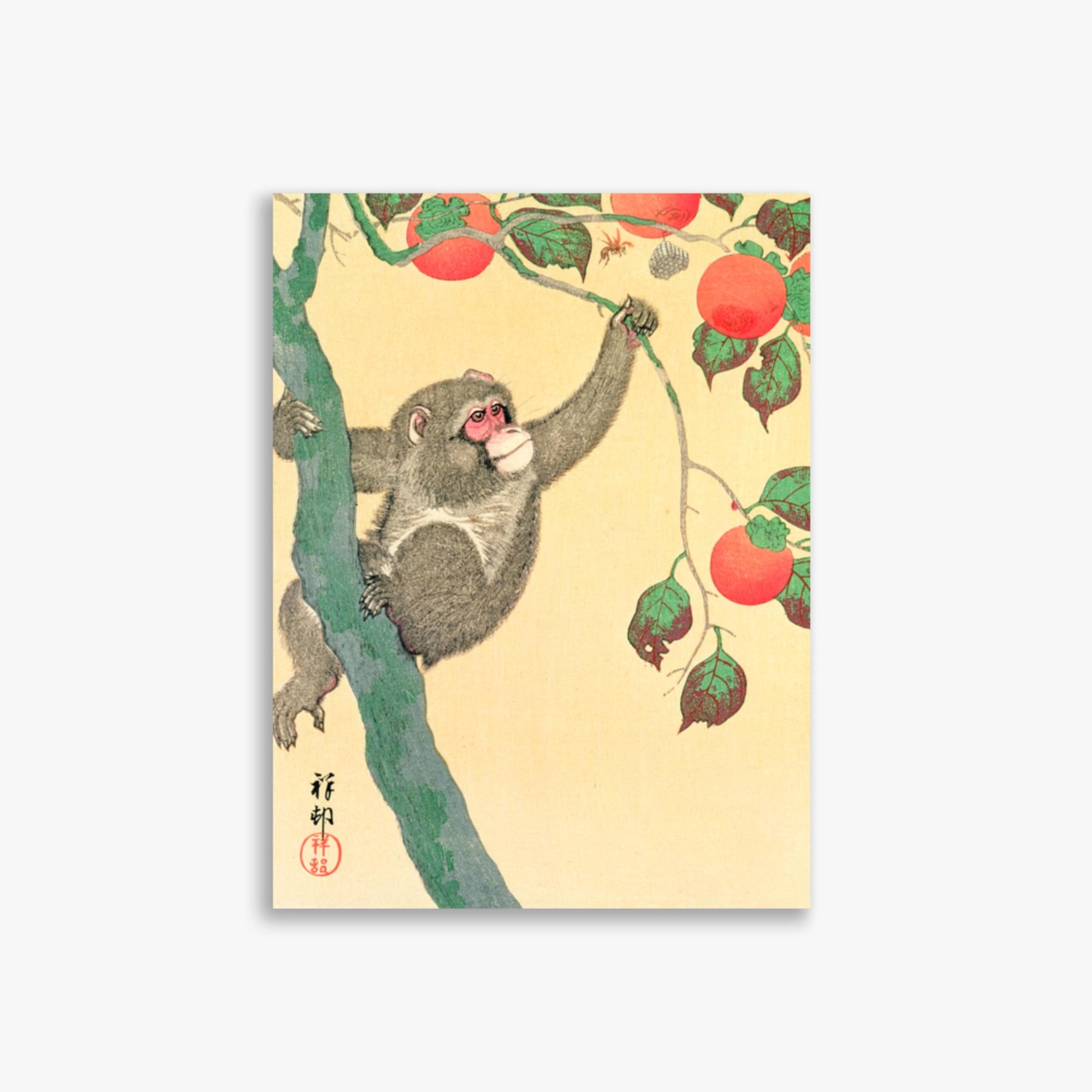 Ohara Koson: Monkey in a Persimmon - 30x40 cm Poster