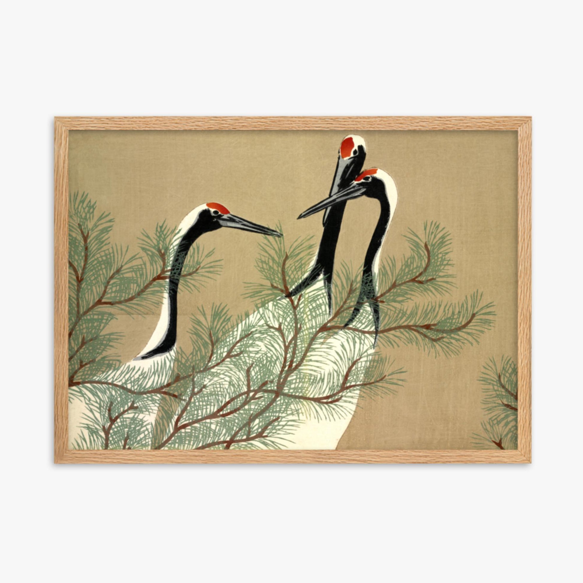 Kamisaka Sekka: Tsuru, from Momoyo-gusa - 50x70 cm Poster With Oak Frame