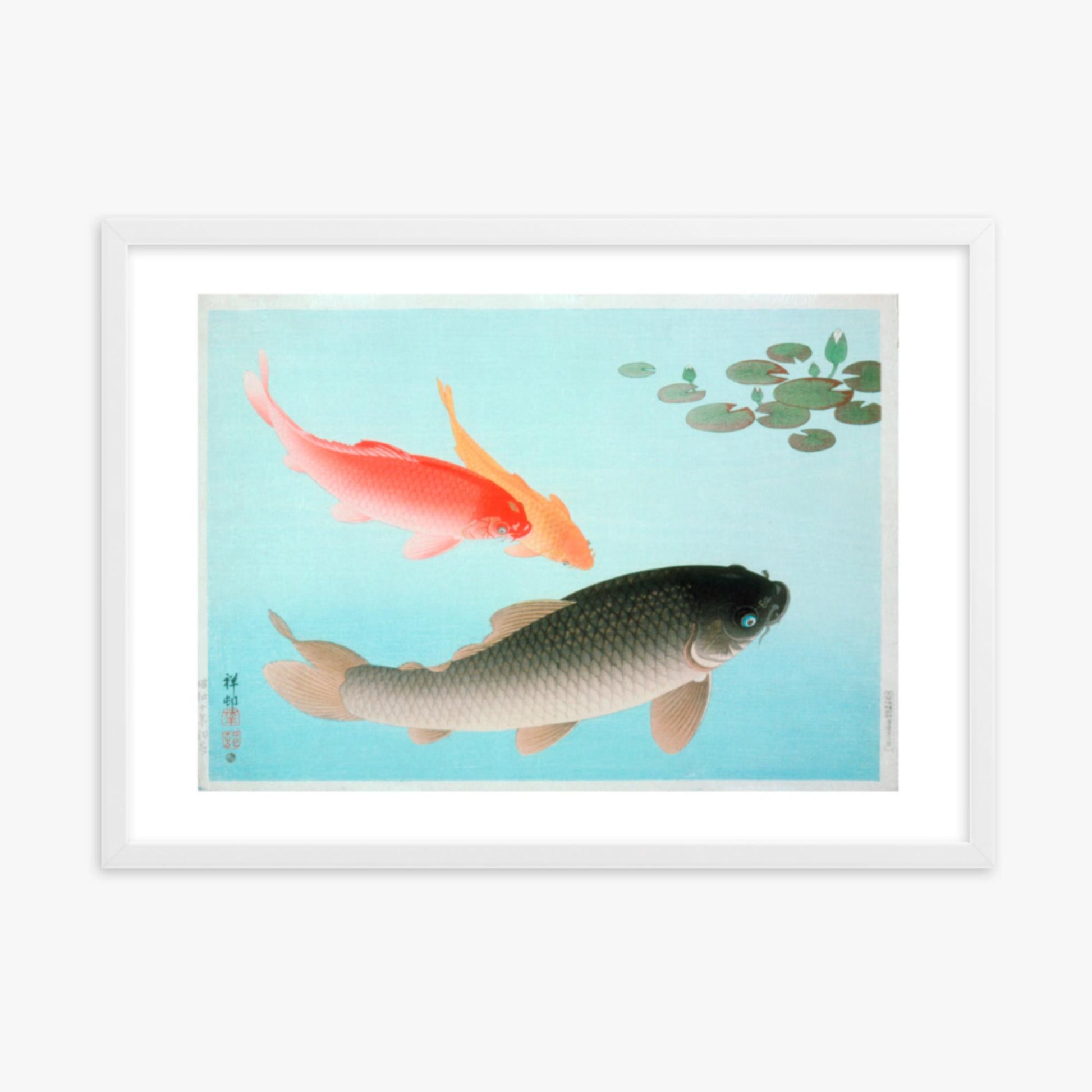 Ohara Koson - Common and Golden Carp 50x70 cm Poster With White Frame