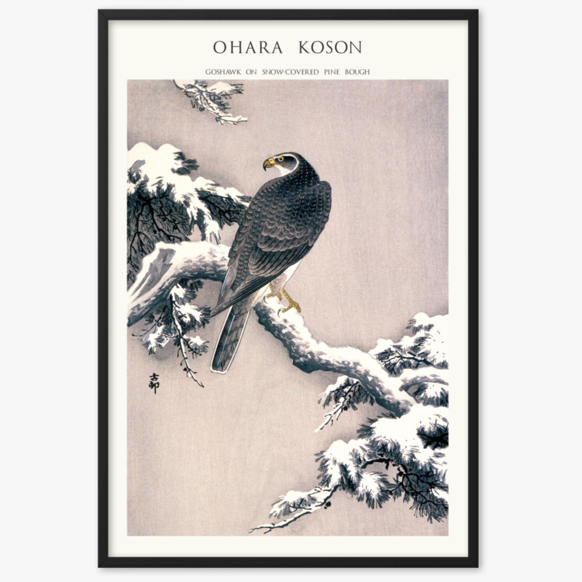 Ohara Koson - Goshawk on Snow-covered Pine Bough  - Decoration 61x91 cm Poster With Black Frame