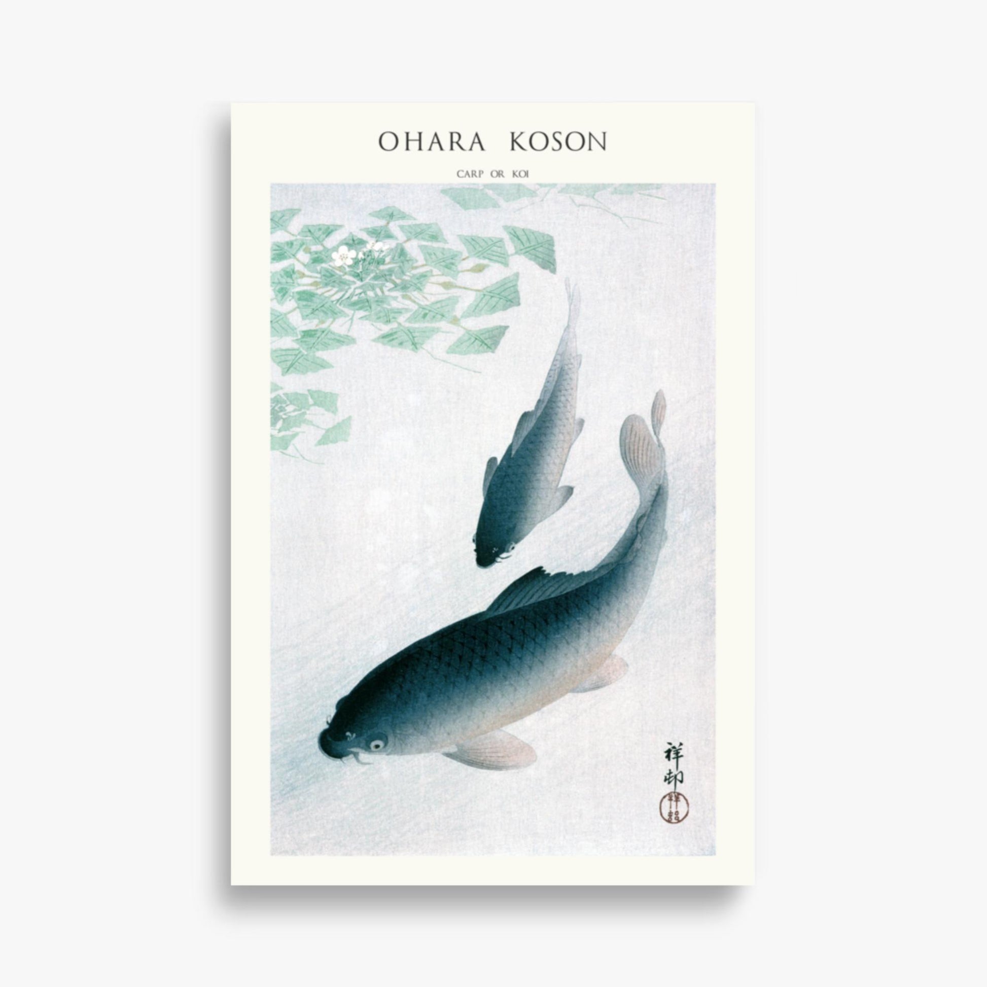 Ohara Koson - Carp or Koi - Decoration 61x91 cm Poster