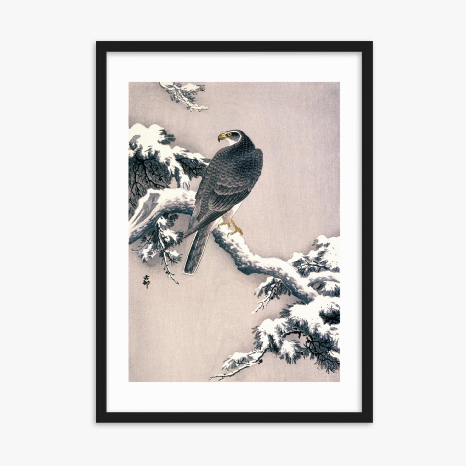 Ohara Koson - Goshawk on Snow-covered Pine Bough  50x70 cm Poster With Black Frame