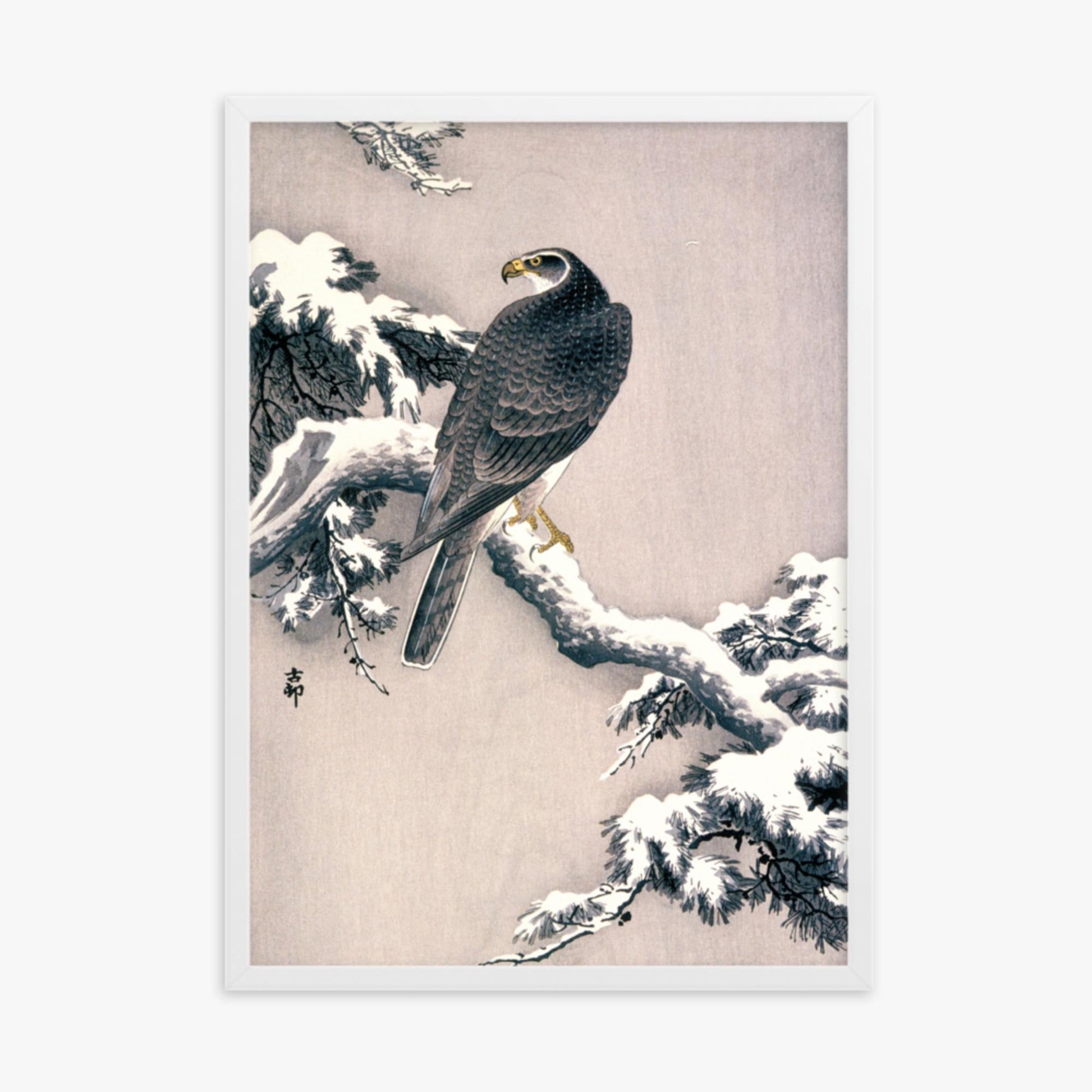 Ohara Koson - Goshawk on Snow-covered Pine Bough  50x70 cm Poster With White Frame