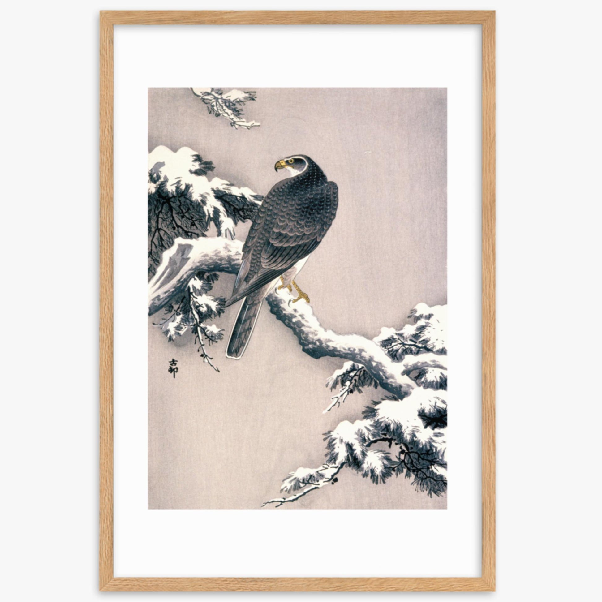 Ohara Koson - Goshawk on Snow-covered Pine Bough  61x91 cm Poster With Oak Frame