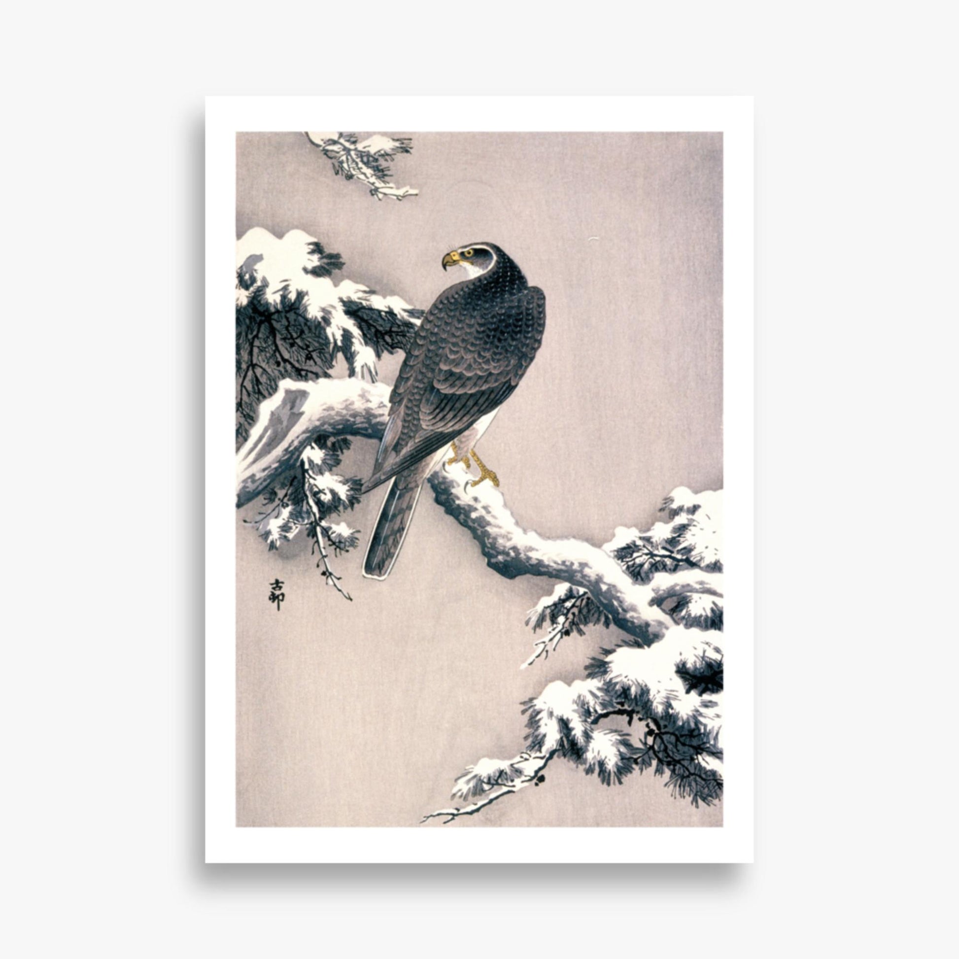 Ohara Koson - Goshawk on Snow-covered Pine Bough  50x70 cm Poster