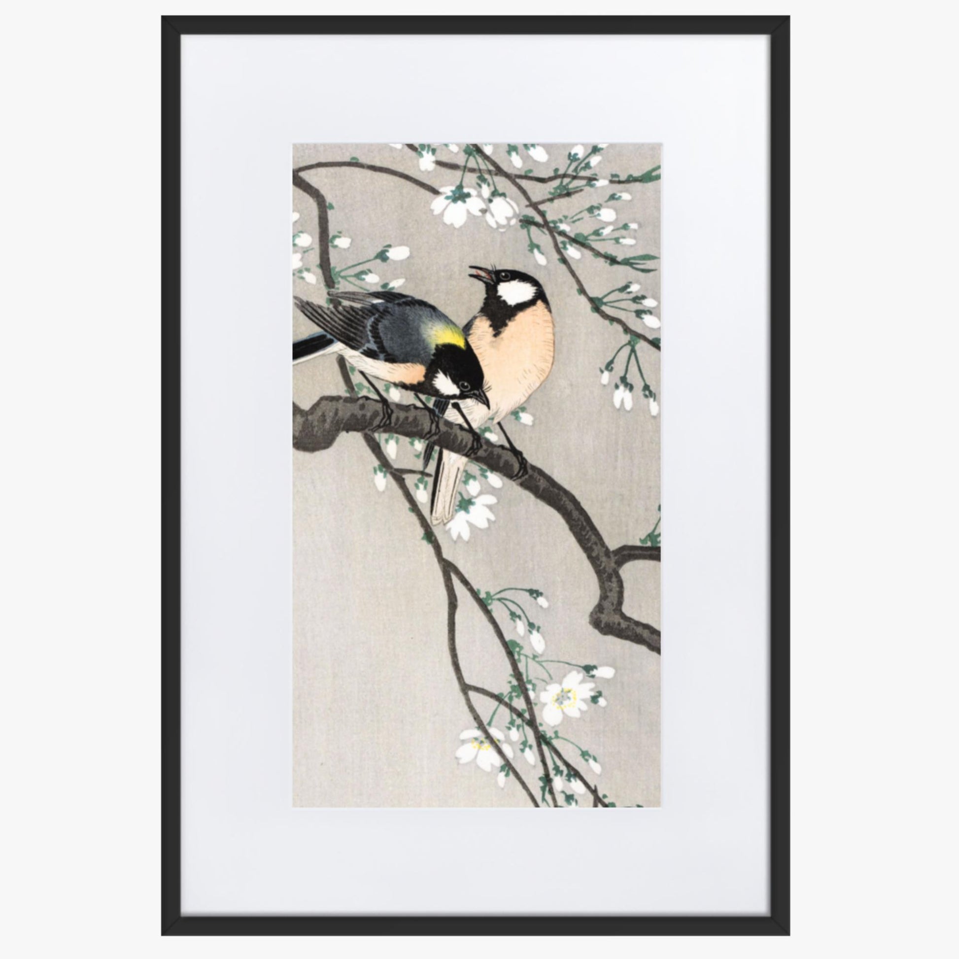 Ohara Koson - Tits on Cherry Branch 61x91 cm Poster With Black Frame