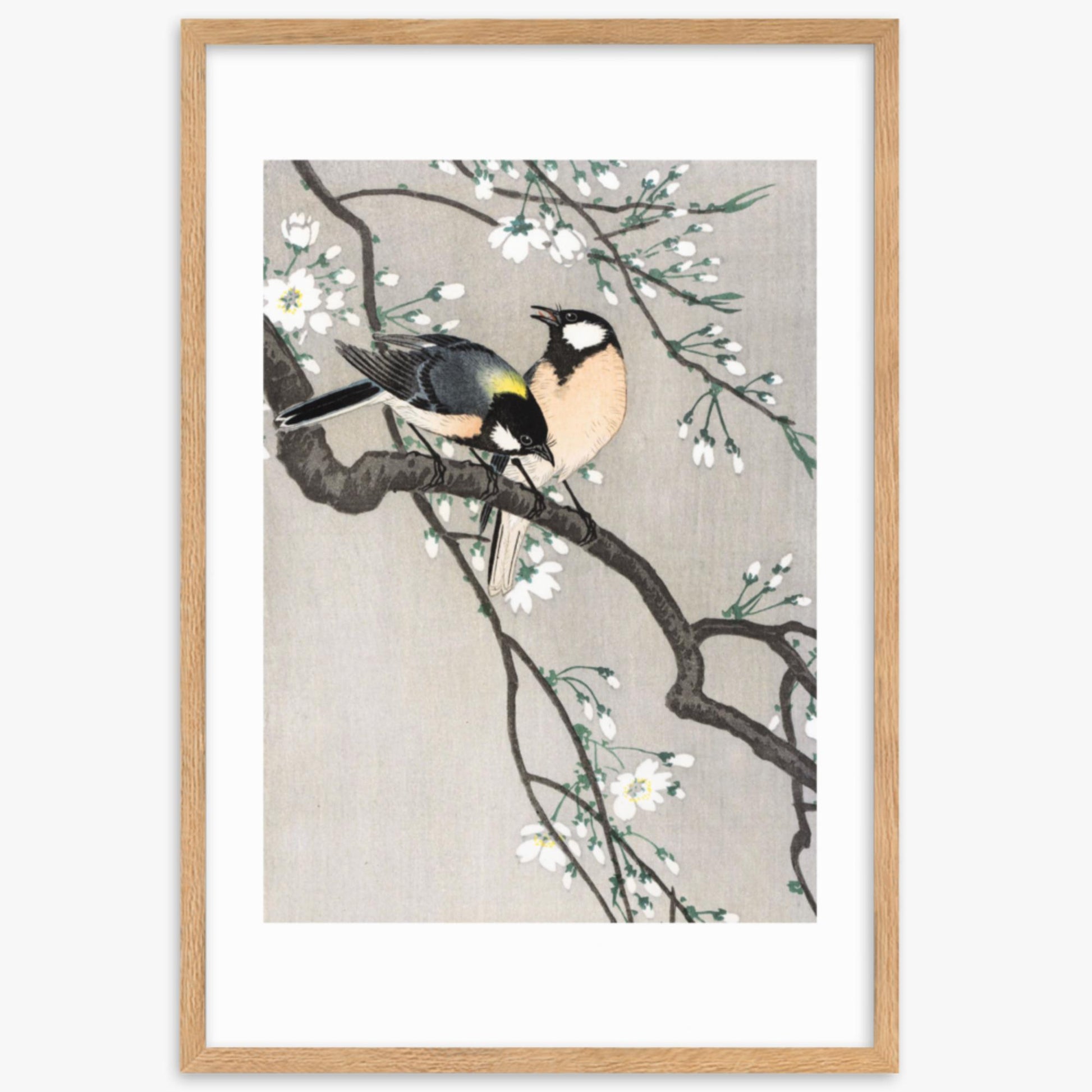 Ohara Koson - Tits on Cherry Branch 61x91 cm Poster With Oak Frame