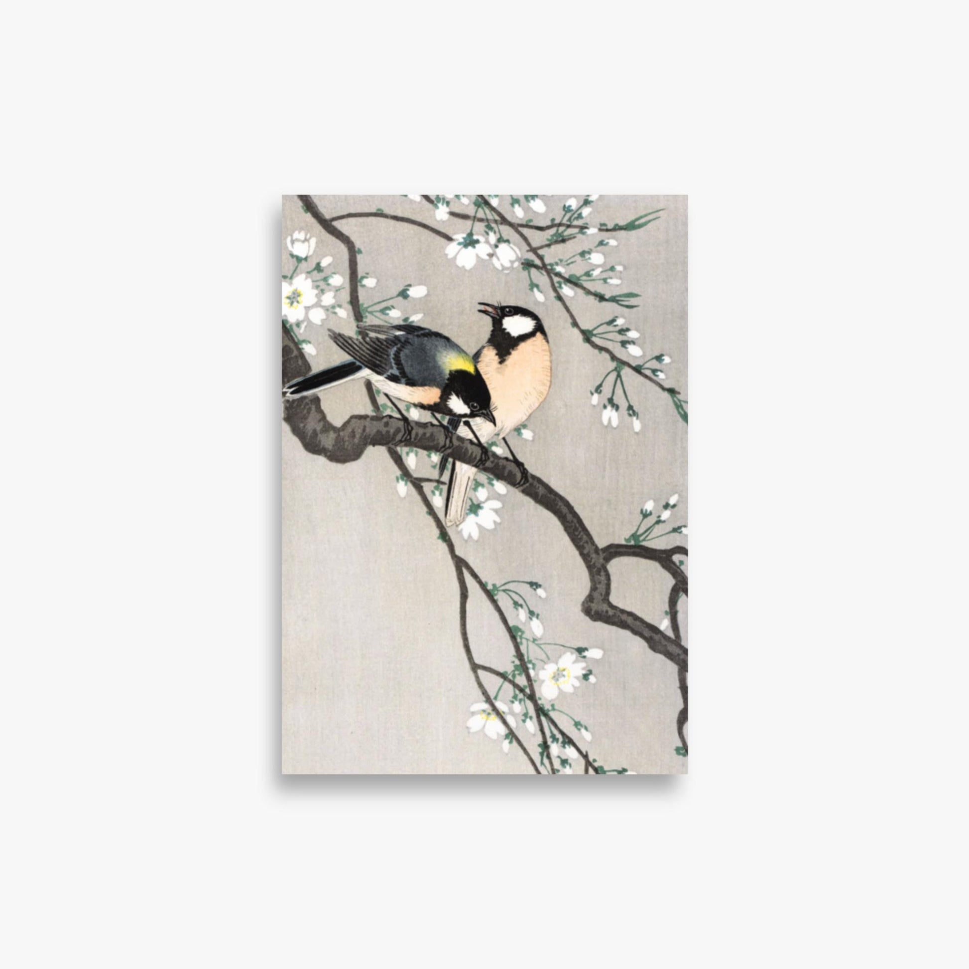 Ohara Koson - Tits on Cherry Branch 21x30 cm Poster