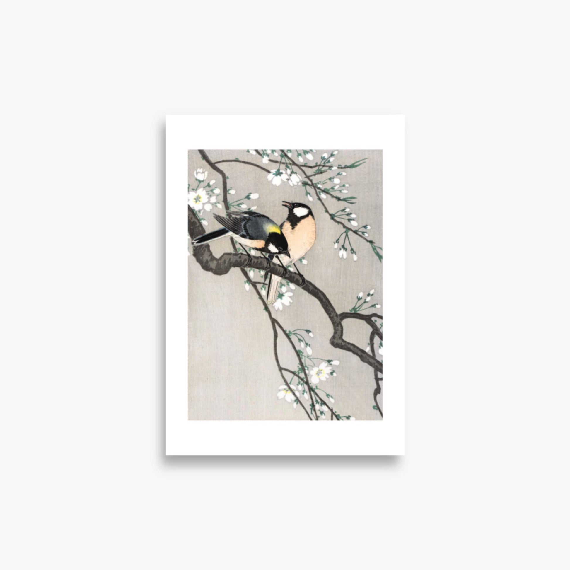 Ohara Koson - Tits on Cherry Branch 21x30 cm Poster