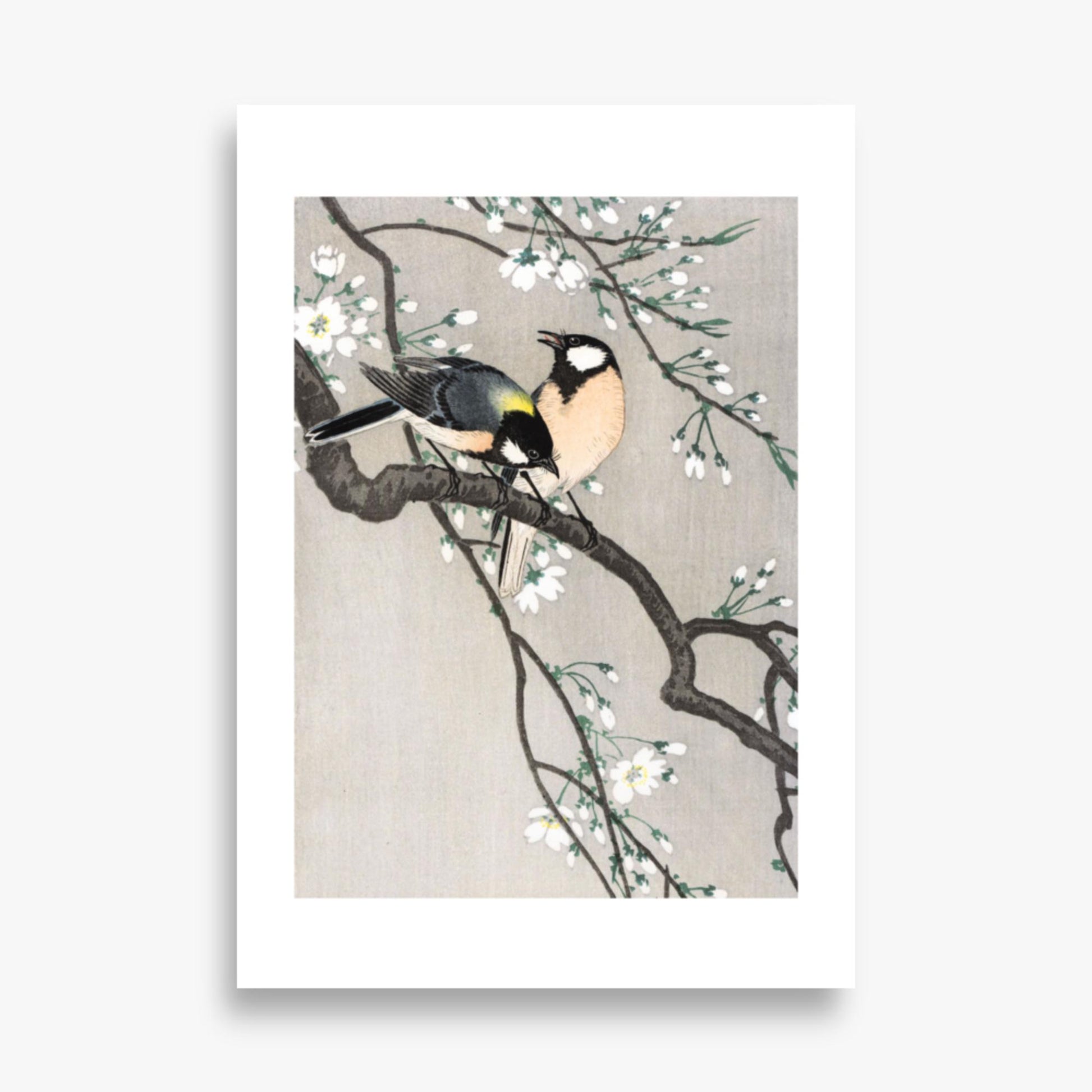 Ohara Koson - Tits on Cherry Branch 70x100 cm Poster