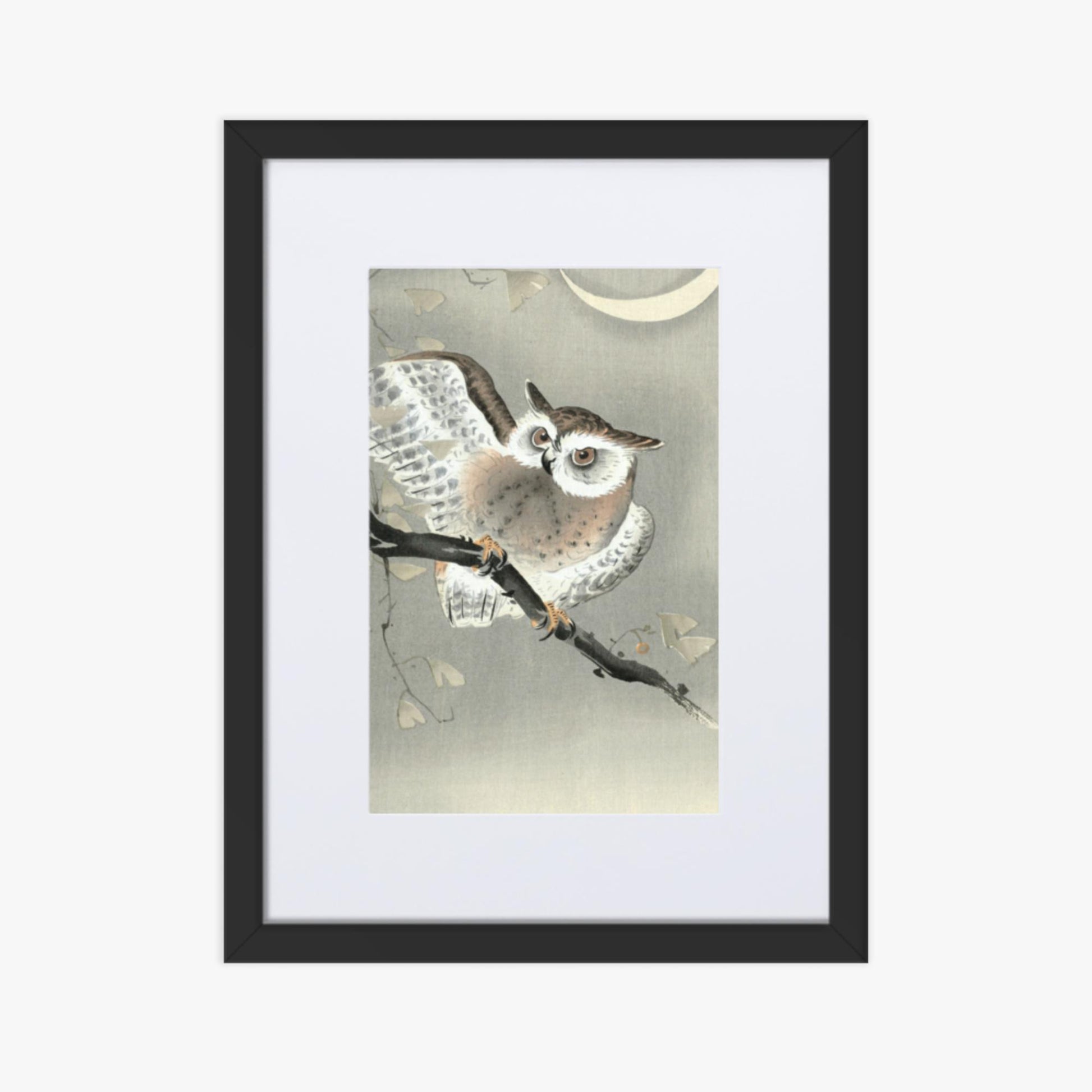 Ohara Koson - Long-Eared Owl in Ginkgo 30x40 cm Poster With Black Frame