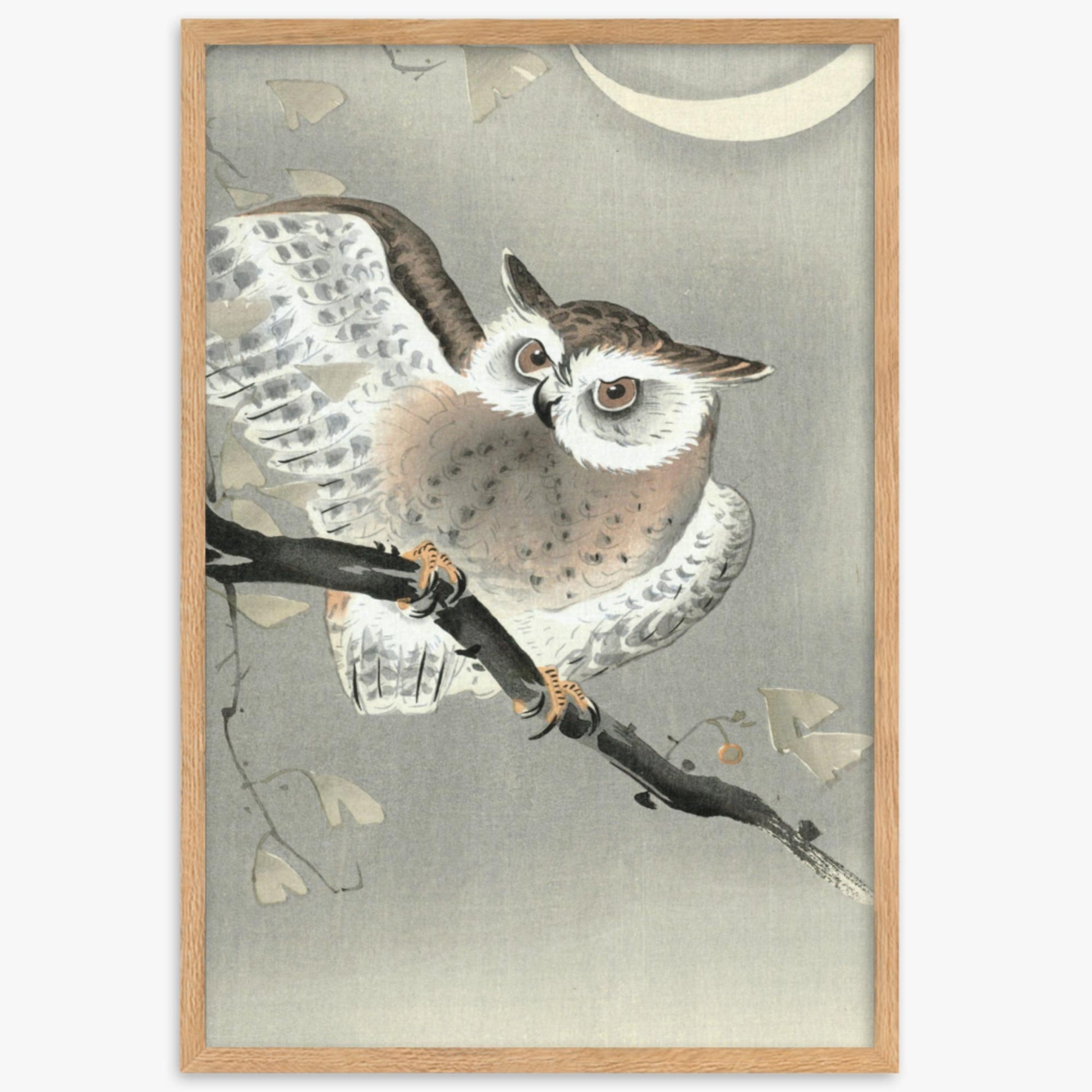 Ohara Koson - Long-Eared Owl in Ginkgo 61x91 cm Poster With Oak Frame