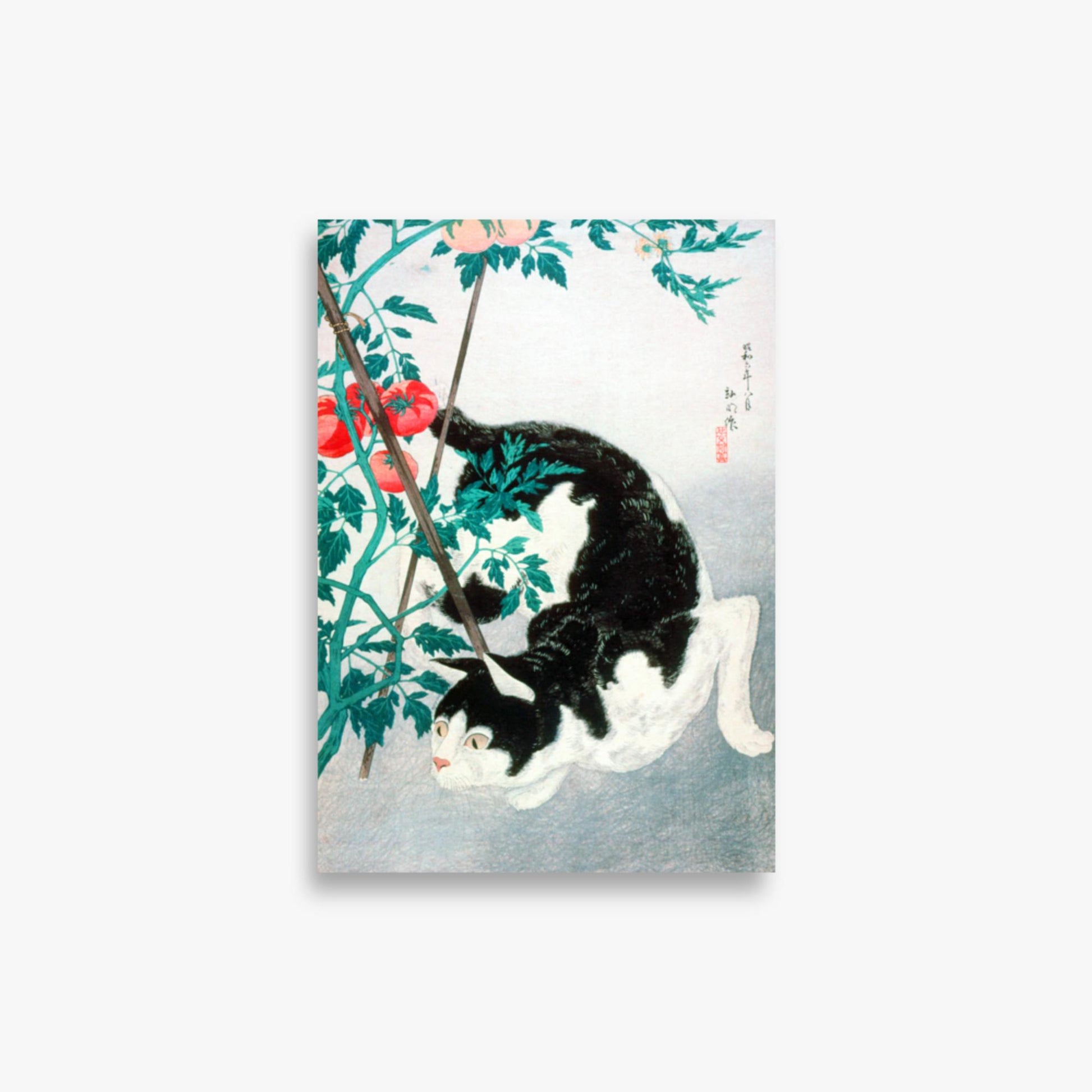 Takahashi Hiroaki (Shōtei) - Cat with Tomato Plant 21x30 cm Poster