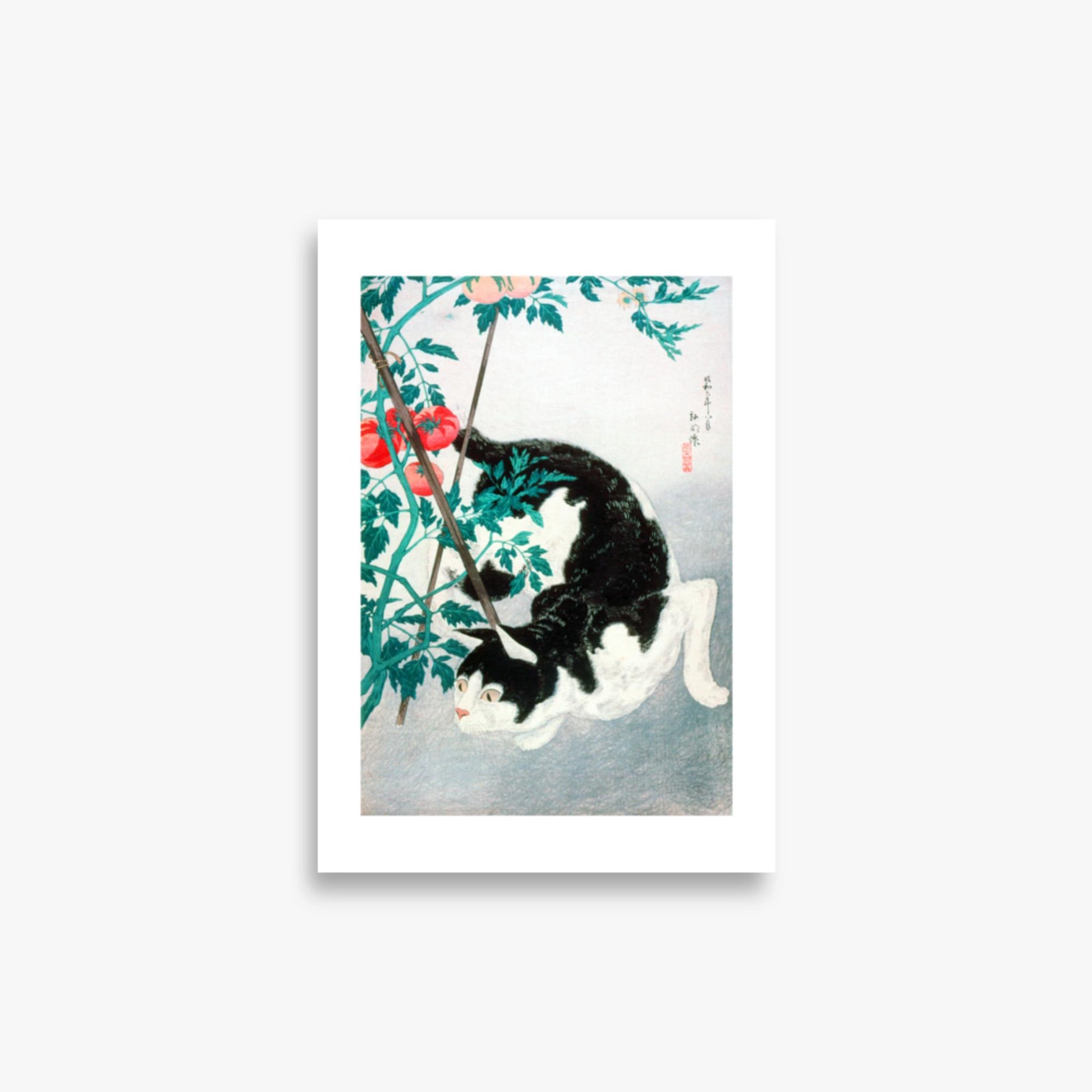 Takahashi Hiroaki (Shōtei) - Cat with Tomato Plant 21x30 cm Poster