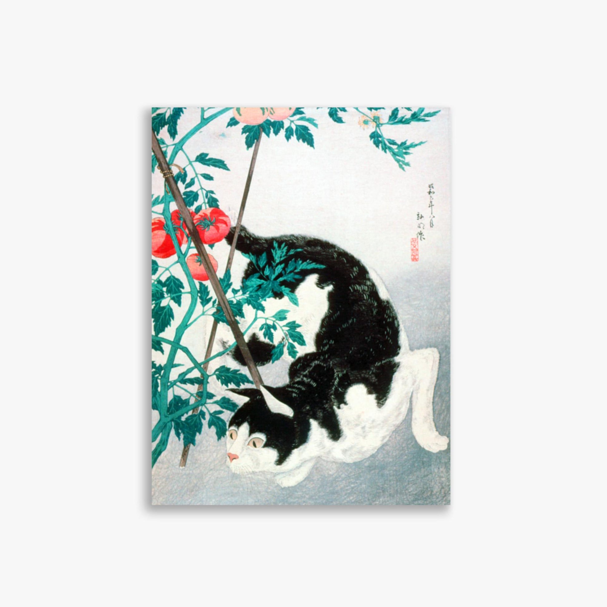 Takahashi Hiroaki (Shōtei) - Cat with Tomato Plant 30x40 cm Poster