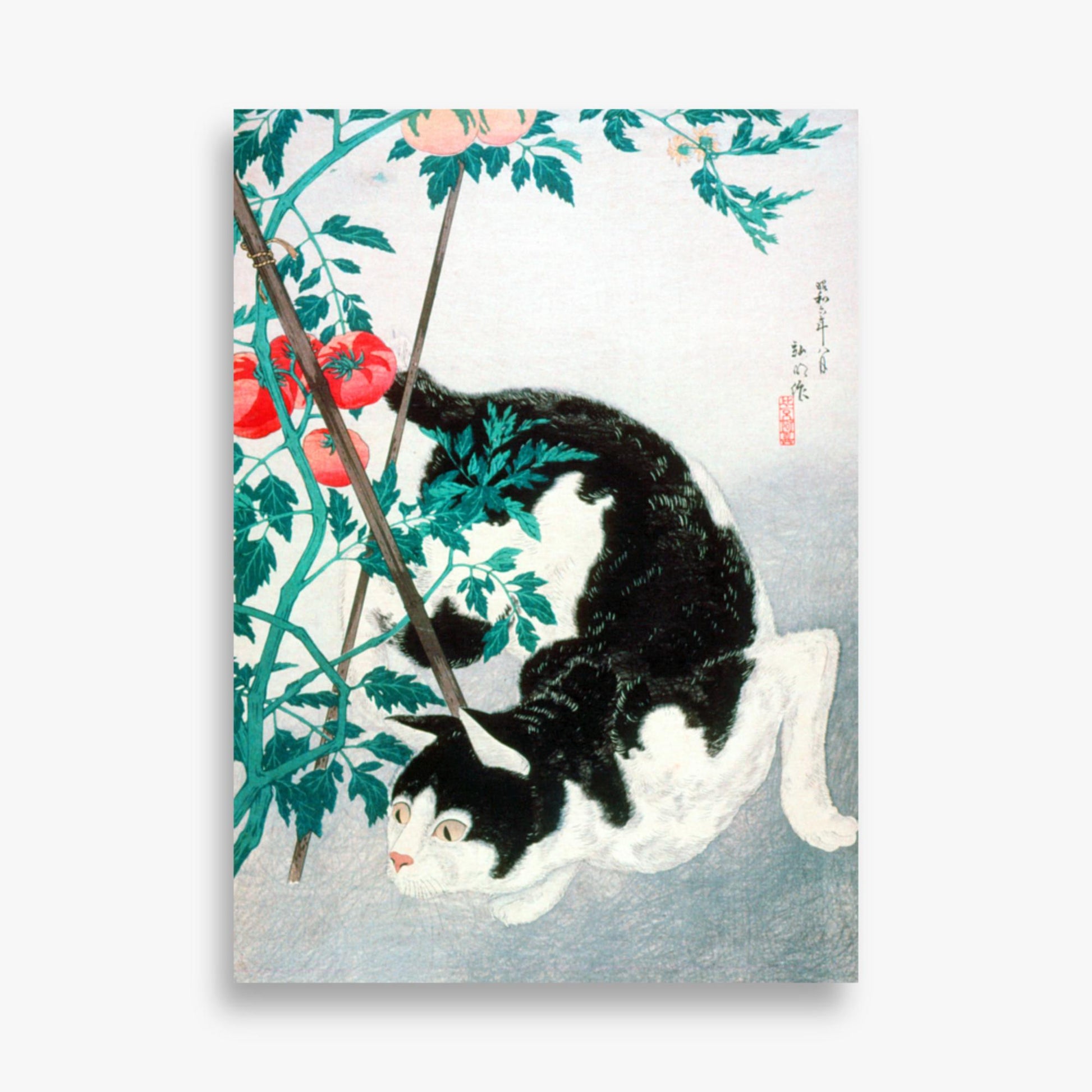 Takahashi Hiroaki (Shōtei) - Cat with Tomato Plant 50x70 cm Poster