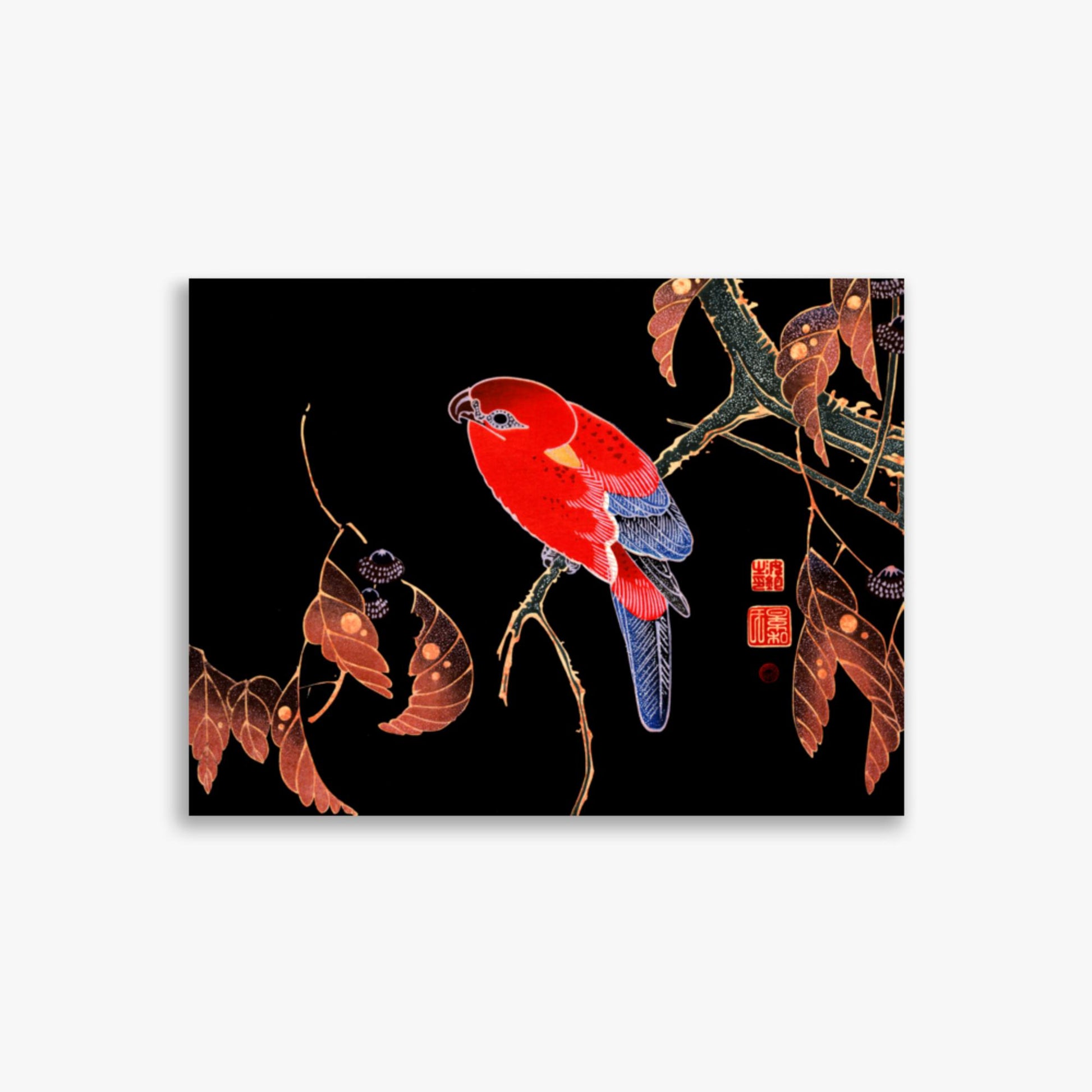 Ito Jakuchu - Red Parrot on the Branch of a Tree 30x40 cm Poster