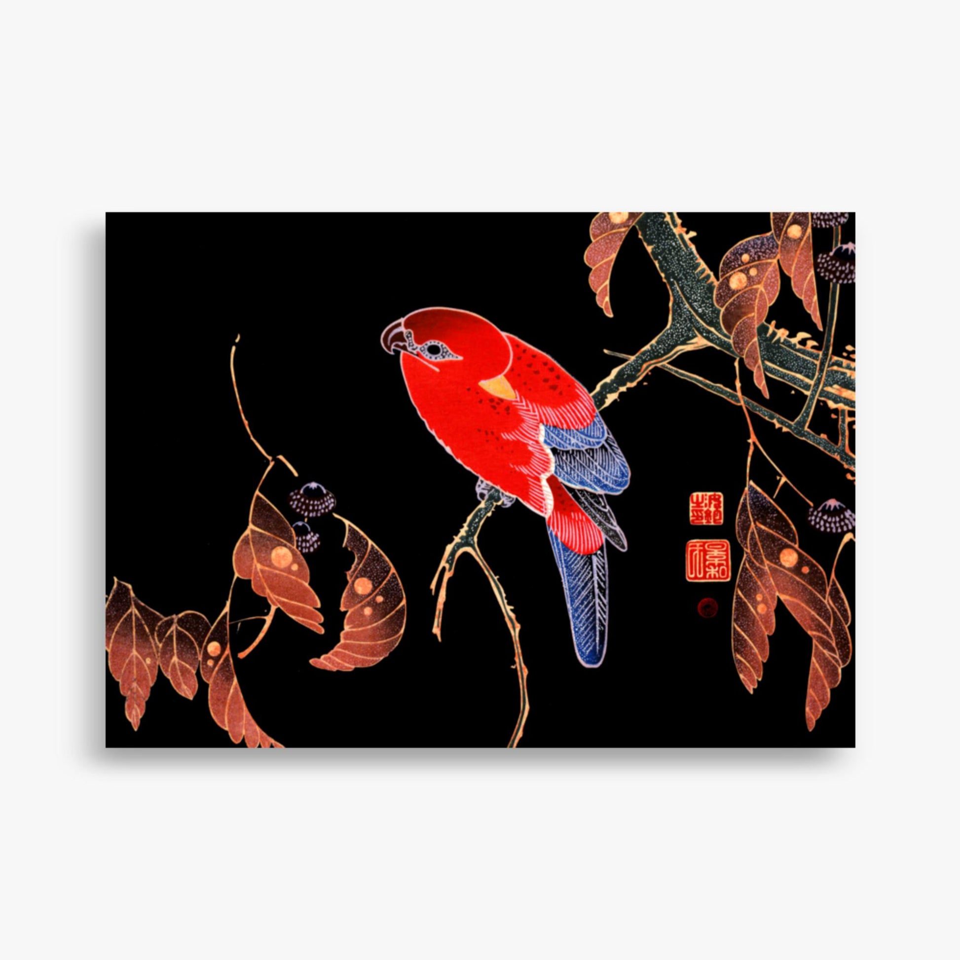 Ito Jakuchu - Red Parrot on the Branch of a Tree 50x70 cm Poster