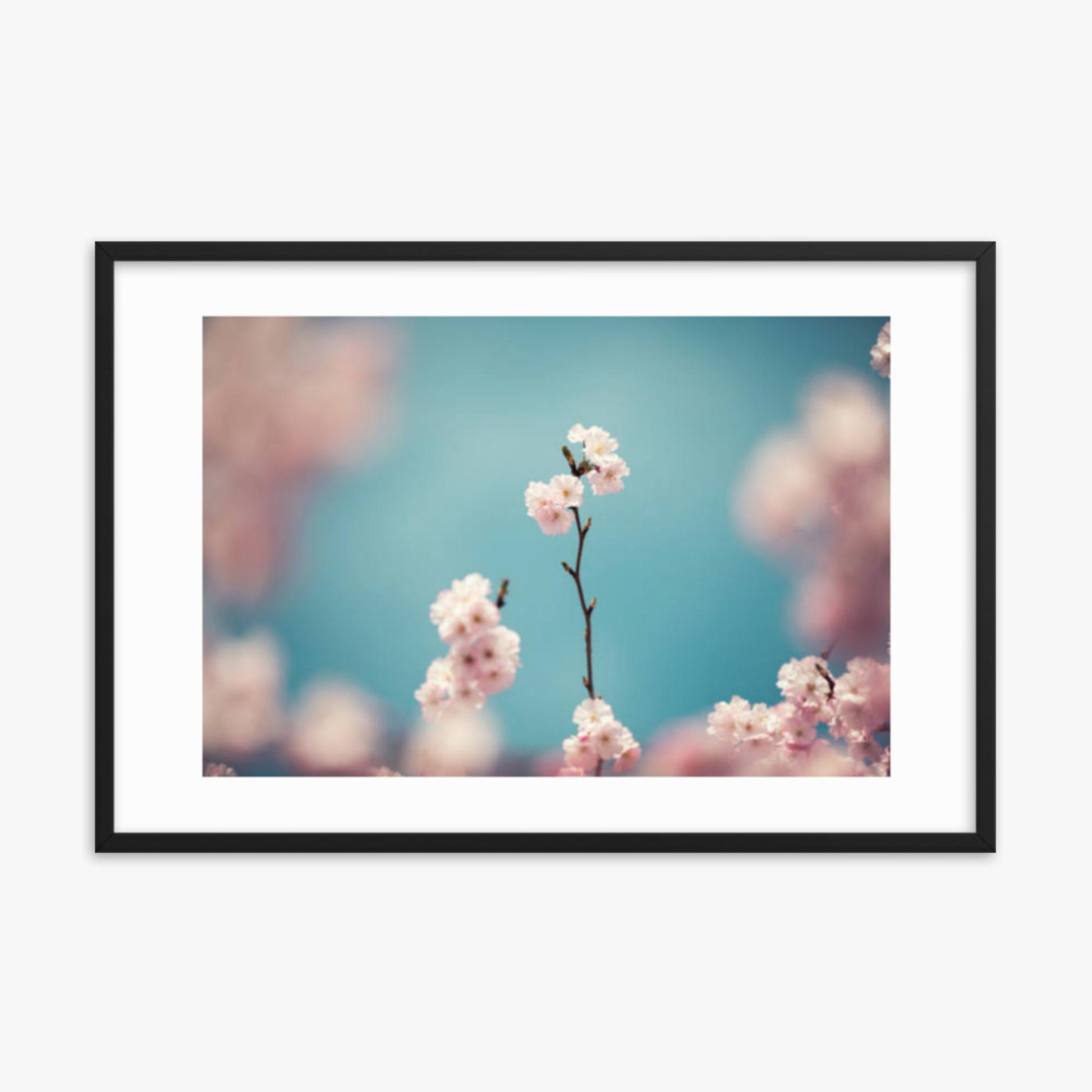 Pastel Colored Cherry Blossoms 24x36 in Poster With Black Frame