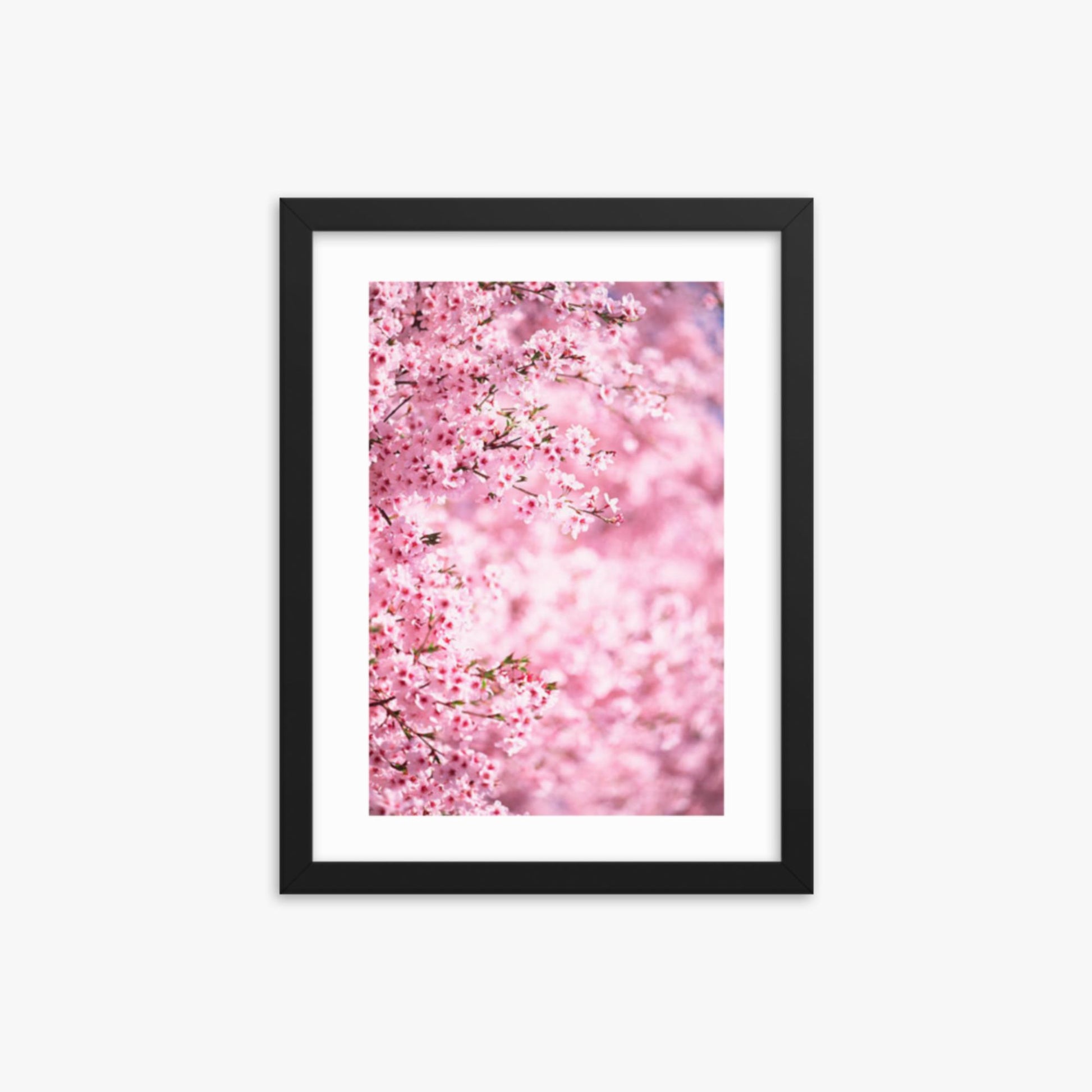 Pink Cherry Blossoms 2 12x16 in Poster With Black Frame