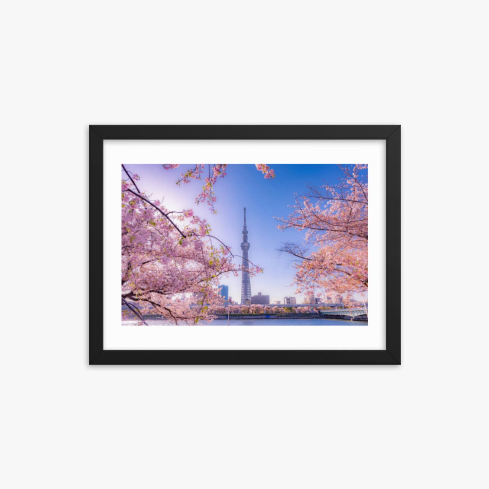 Cherry blossom and building at Asakusa Sumida Park 12x16 in Poster With Black Frame