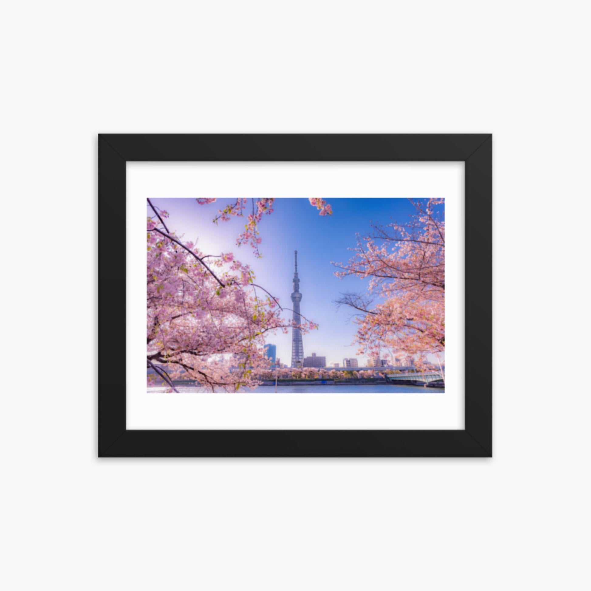 Cherry blossom and building at Asakusa Sumida Park 8x10 in Poster With Black Frame