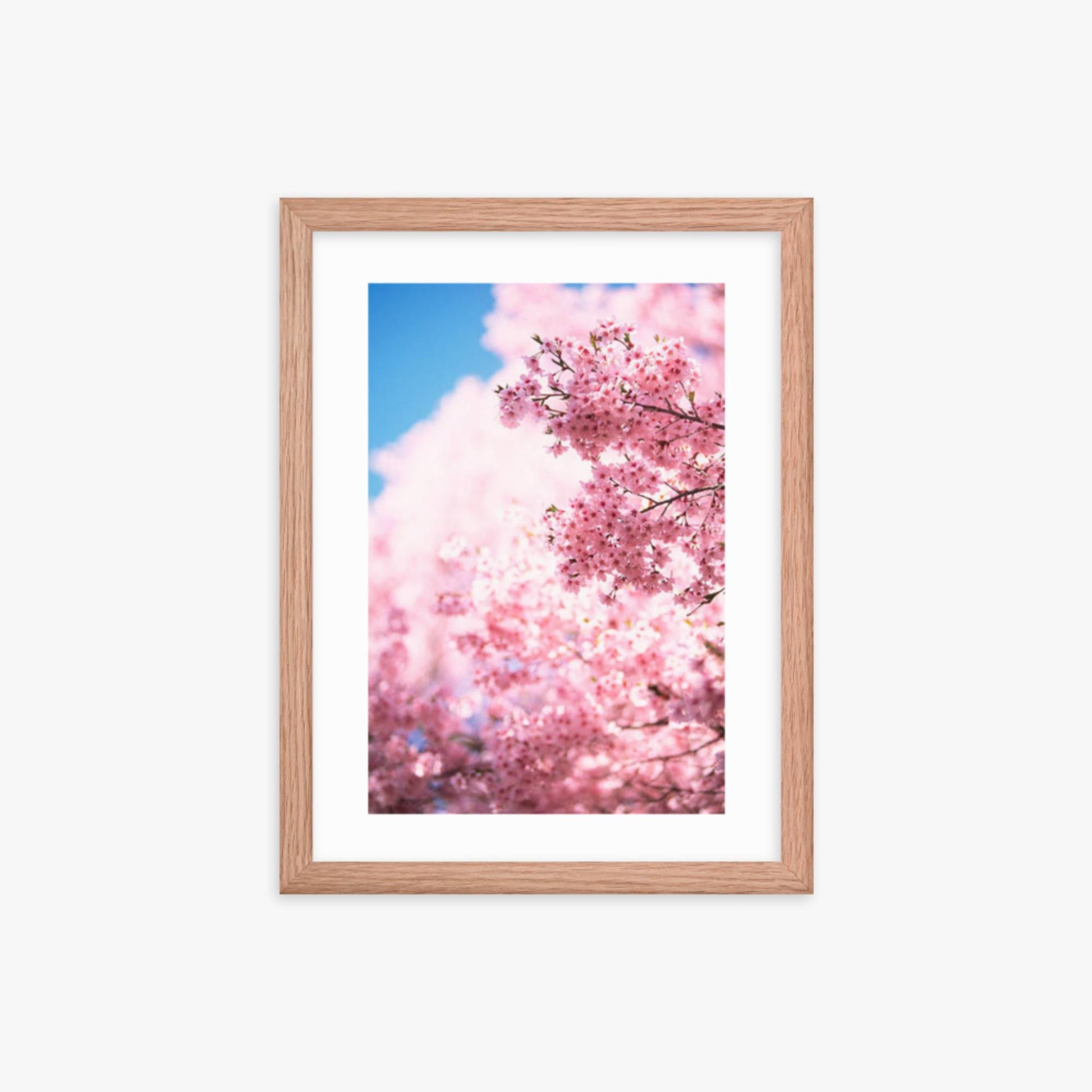 Cherry Blossoms 2 12x16 in Poster With Oak Frame