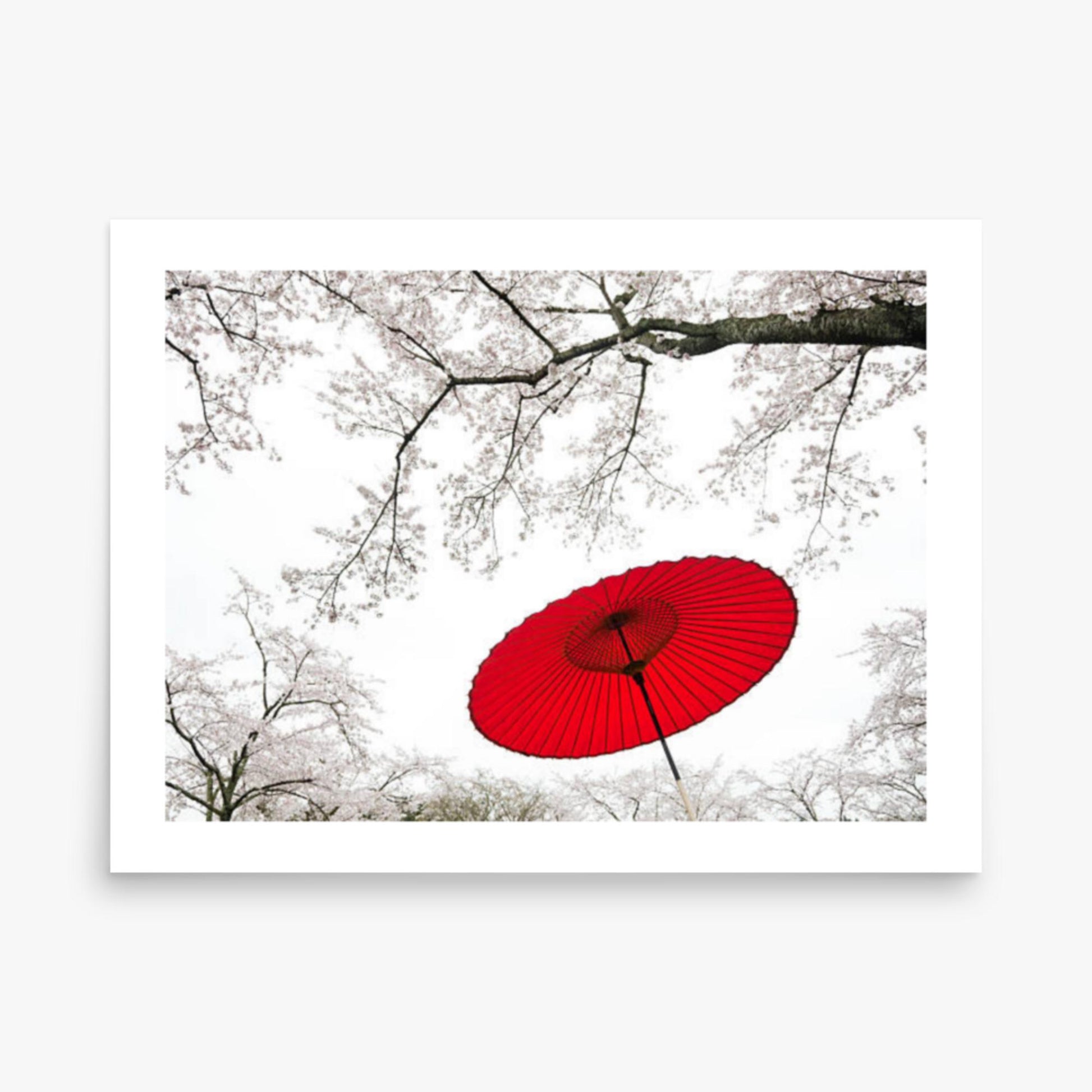 Japanese Umbrella 18x24 in Poster