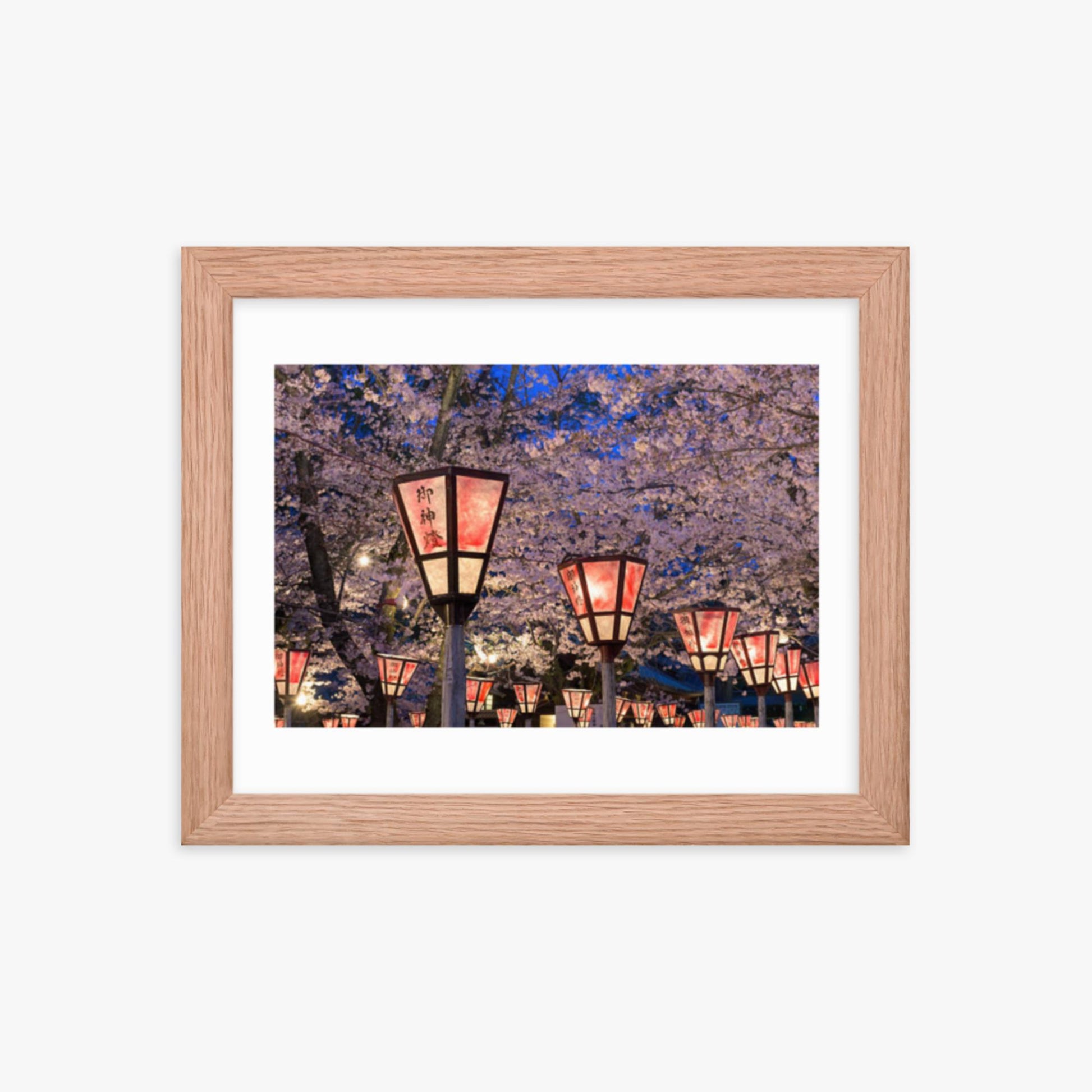 Lantern in Sakura Festival, Japan 8x10 in Poster With Oak Frame