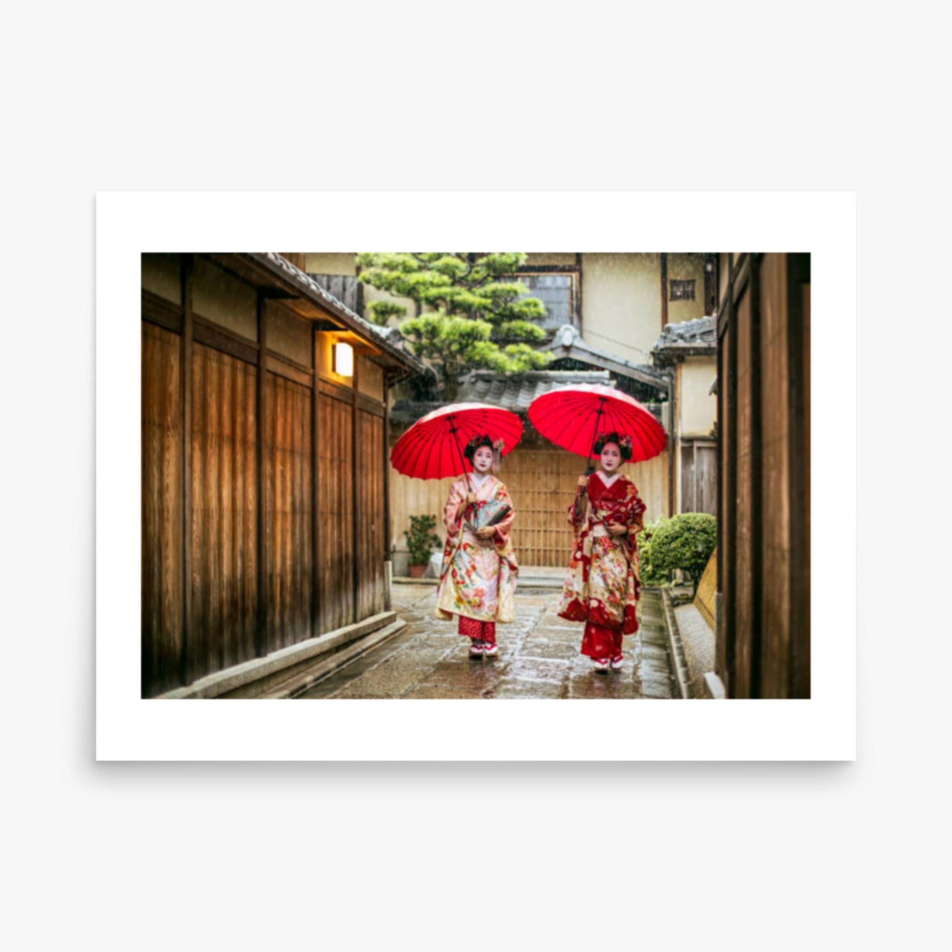 Geishas holding red umbrellas during rainy season 18x24 in Poster