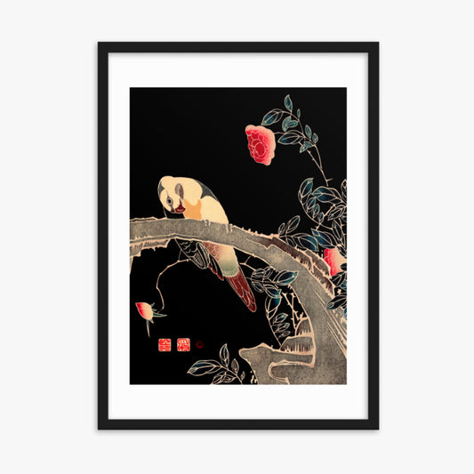 Ito Jakuchu - Parrot on the Branch of a Flowering Rose Bush 50x70 cm Poster With Black Frame