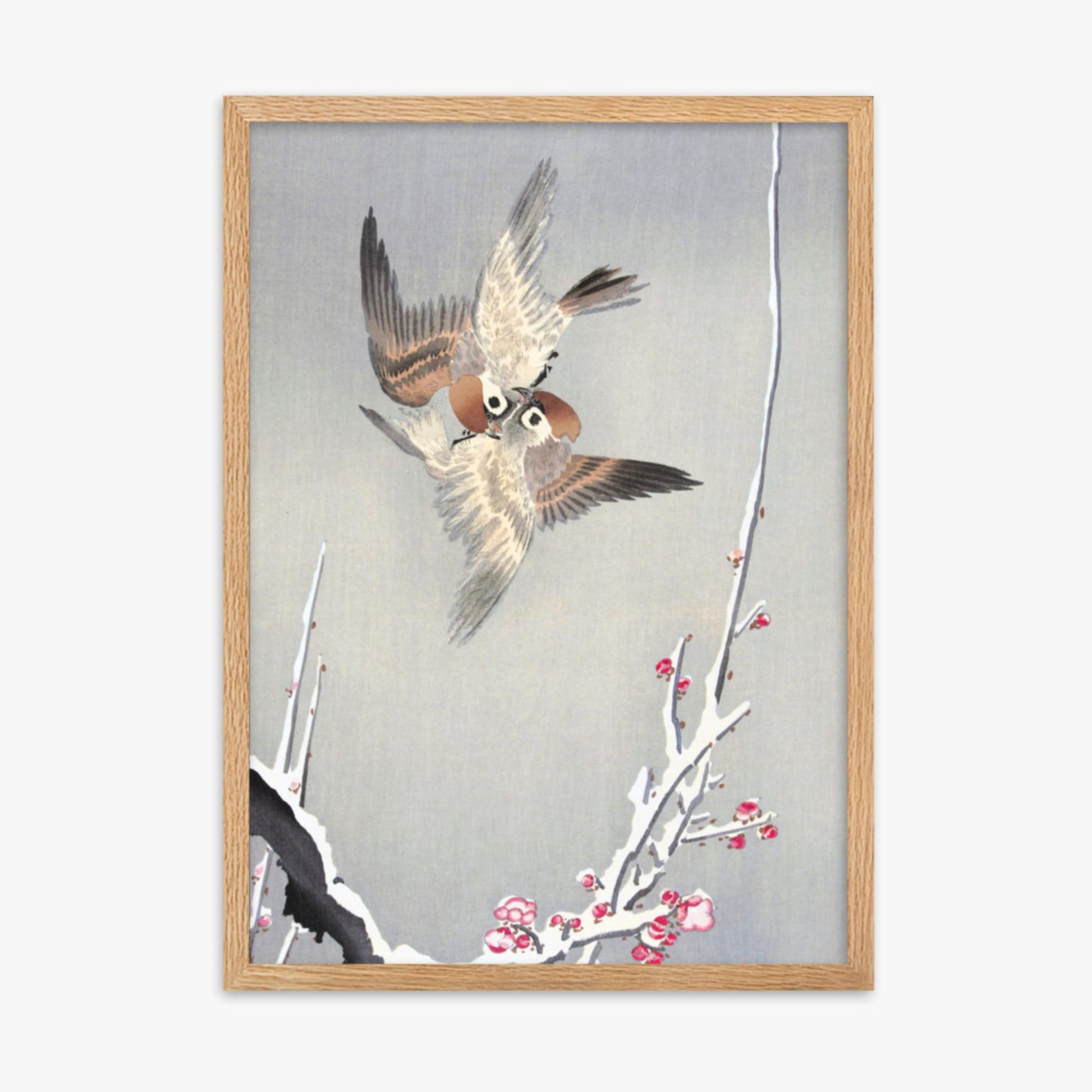 Ohara Koson - Sparrows and Snowy Plum Tree 50x70 cm Poster With Oak Frame